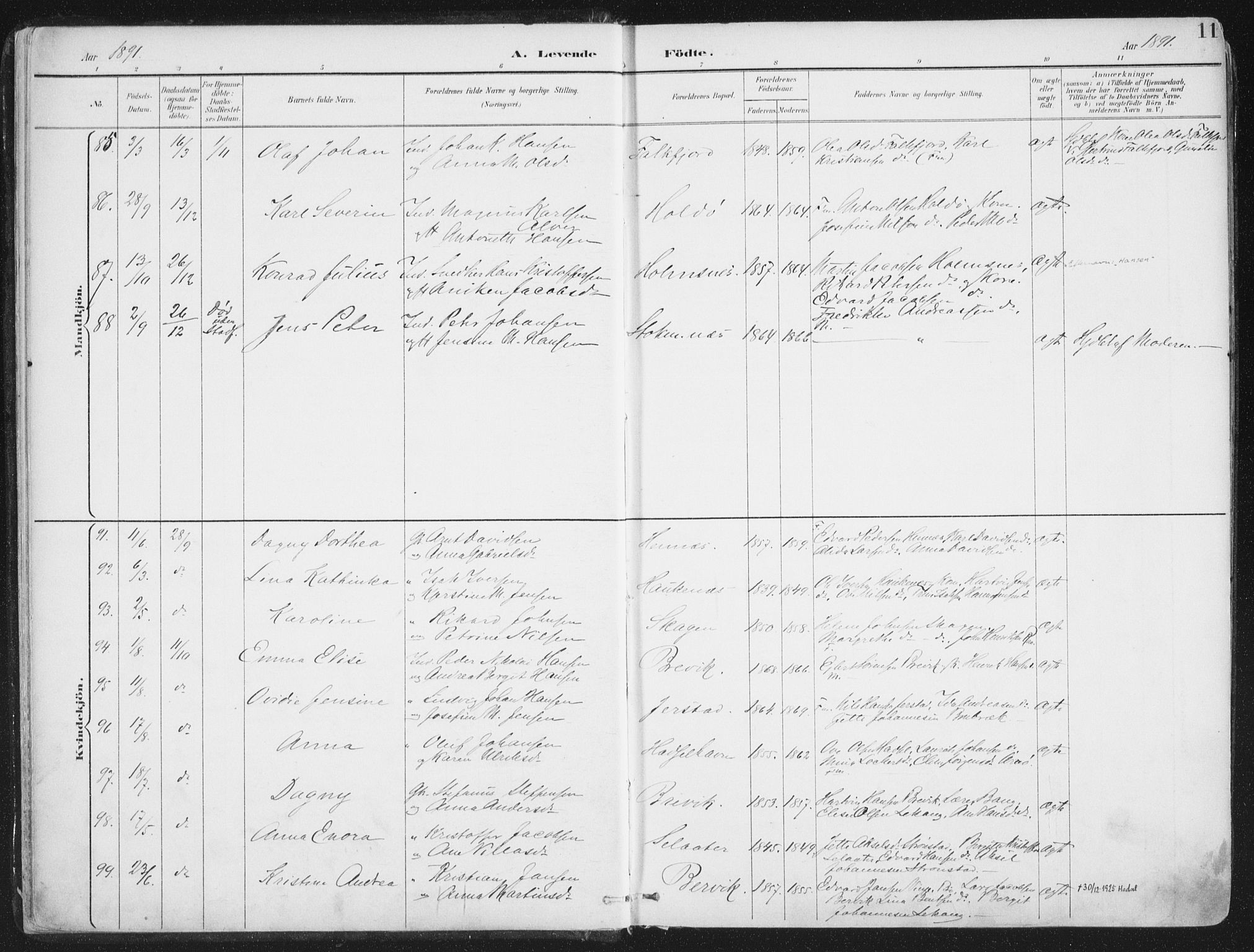 Ministerialprotokoller, klokkerbøker og fødselsregistre - Nordland, AV/SAT-A-1459/888/L1246: Parish register (official) no. 888A12, 1891-1903, p. 11