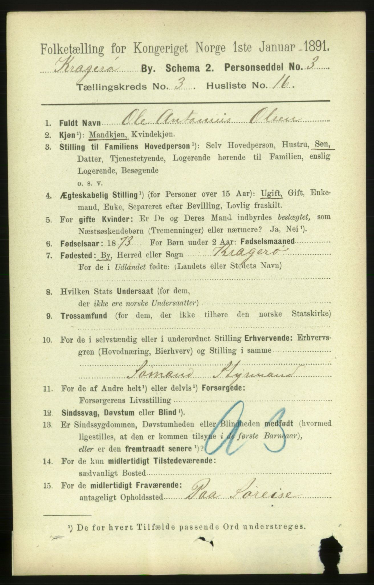 RA, 1891 census for 0801 Kragerø, 1891, p. 2793