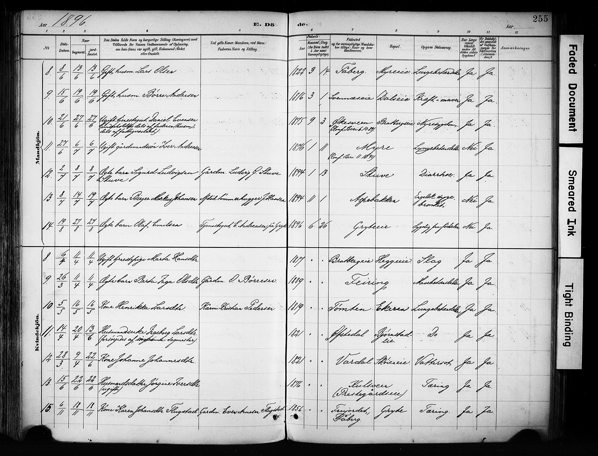 Biri prestekontor, AV/SAH-PREST-096/H/Ha/Haa/L0009: Parish register (official) no. 9, 1887-1900, p. 255