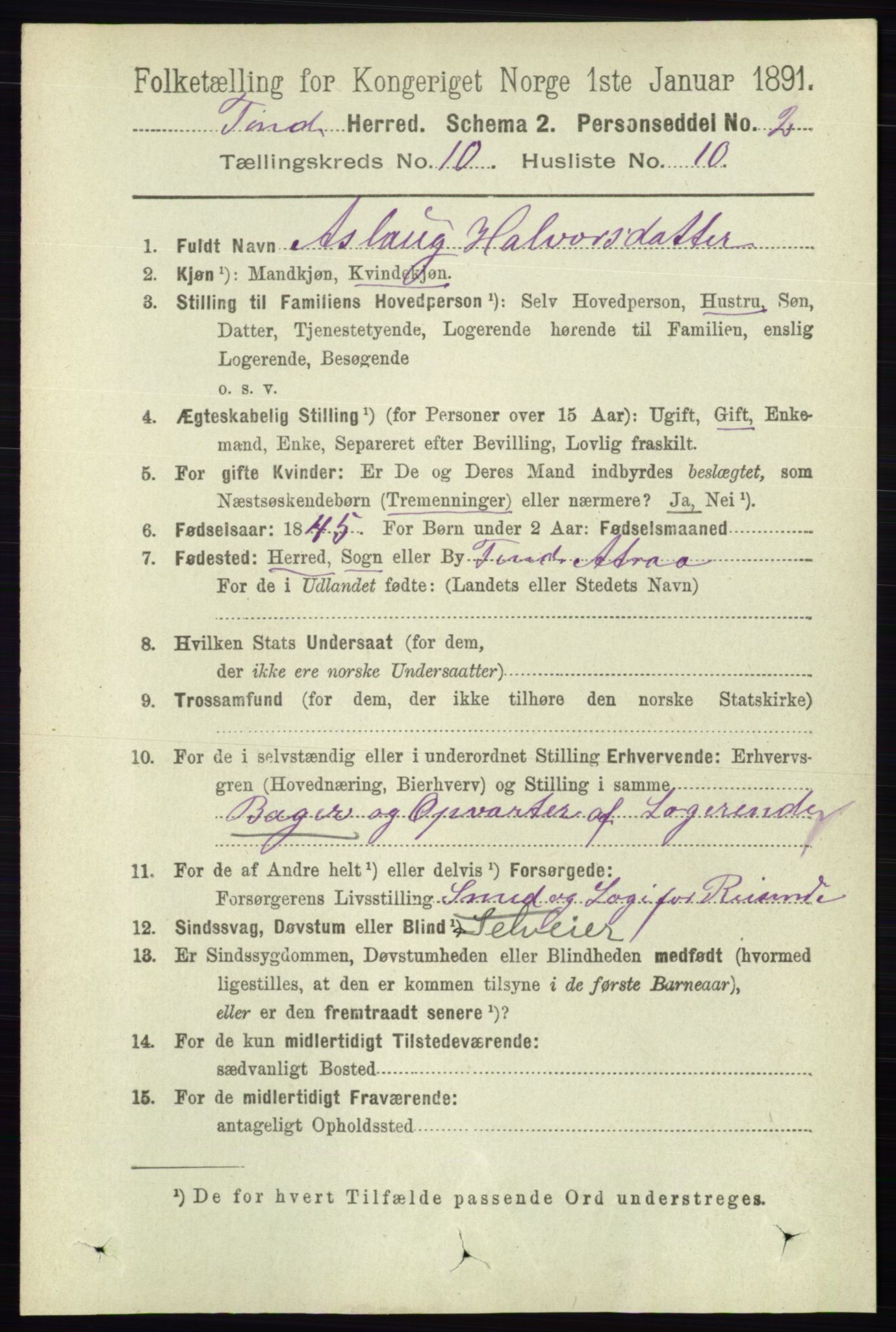 RA, 1891 census for 0826 Tinn, 1891, p. 2019