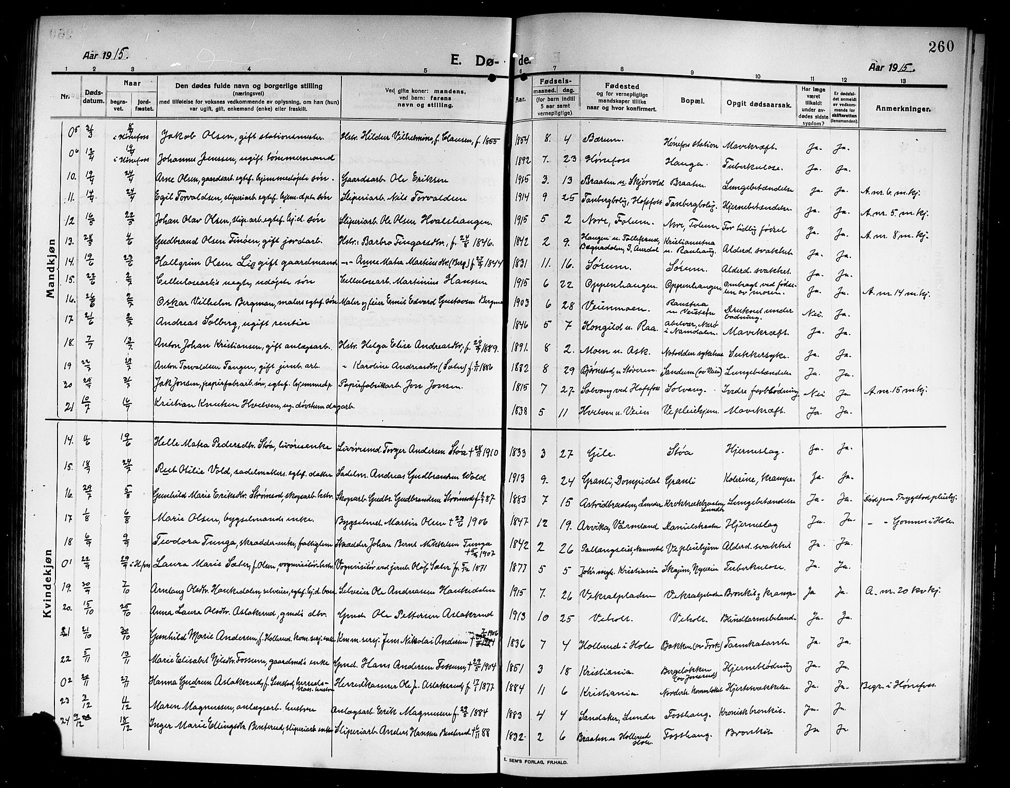 Norderhov kirkebøker, SAKO/A-237/G/Ga/L0009: Parish register (copy) no. I 9, 1913-1920, p. 260
