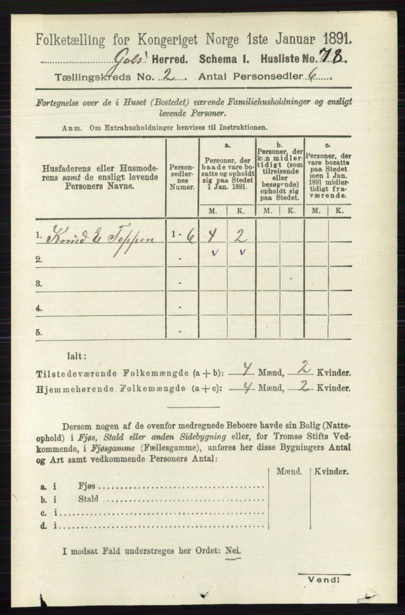 RA, 1891 census for 0617 Gol og Hemsedal, 1891, p. 703