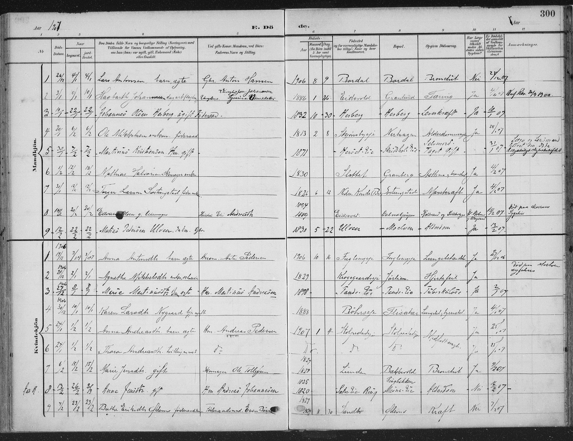 Ringsaker prestekontor, SAH/PREST-014/K/Ka/L0018: Parish register (official) no. 18, 1903-1912, p. 300