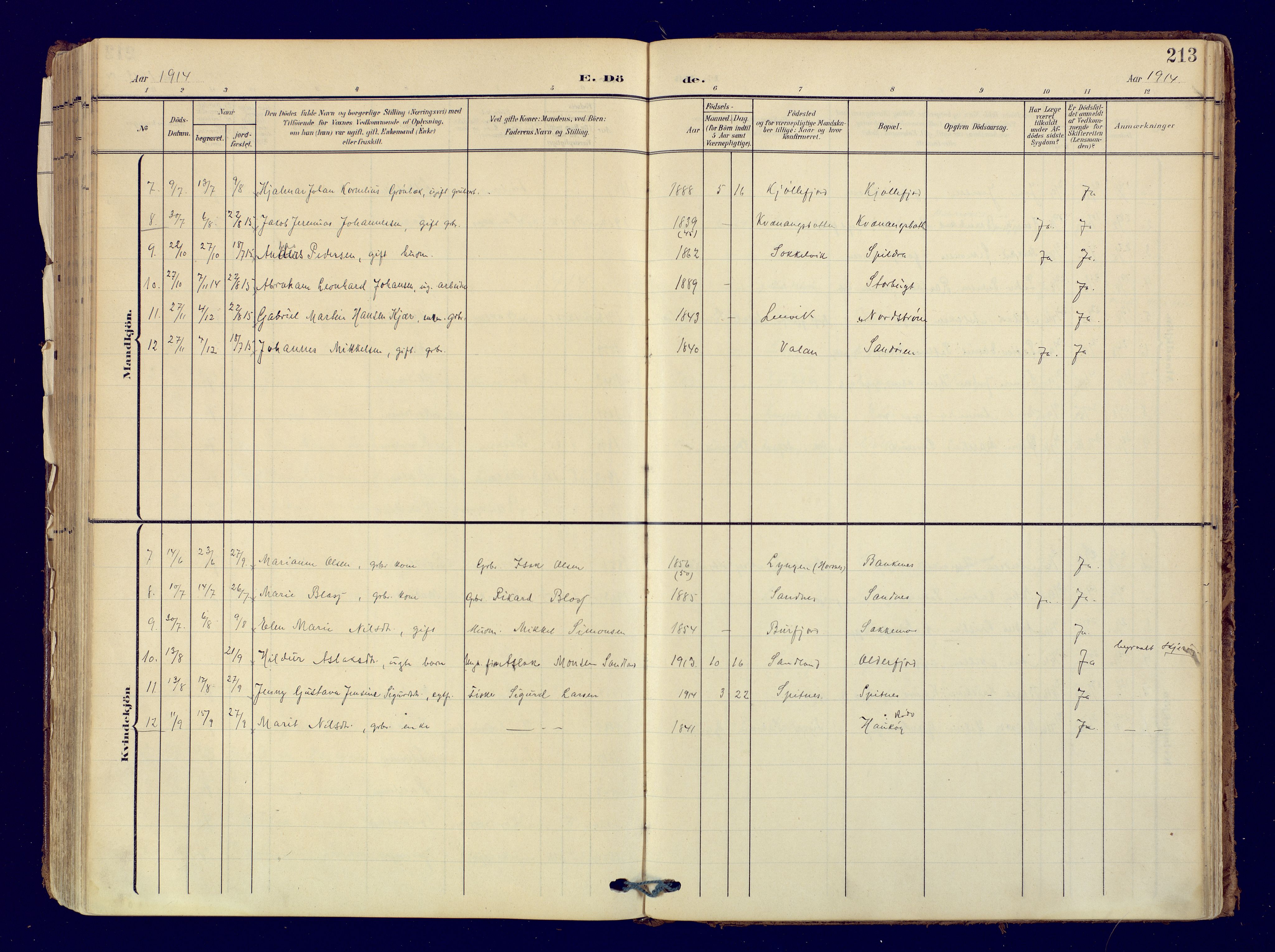 Skjervøy sokneprestkontor, SATØ/S-1300/H/Ha/Haa: Parish register (official) no. 19, 1908-1936, p. 213