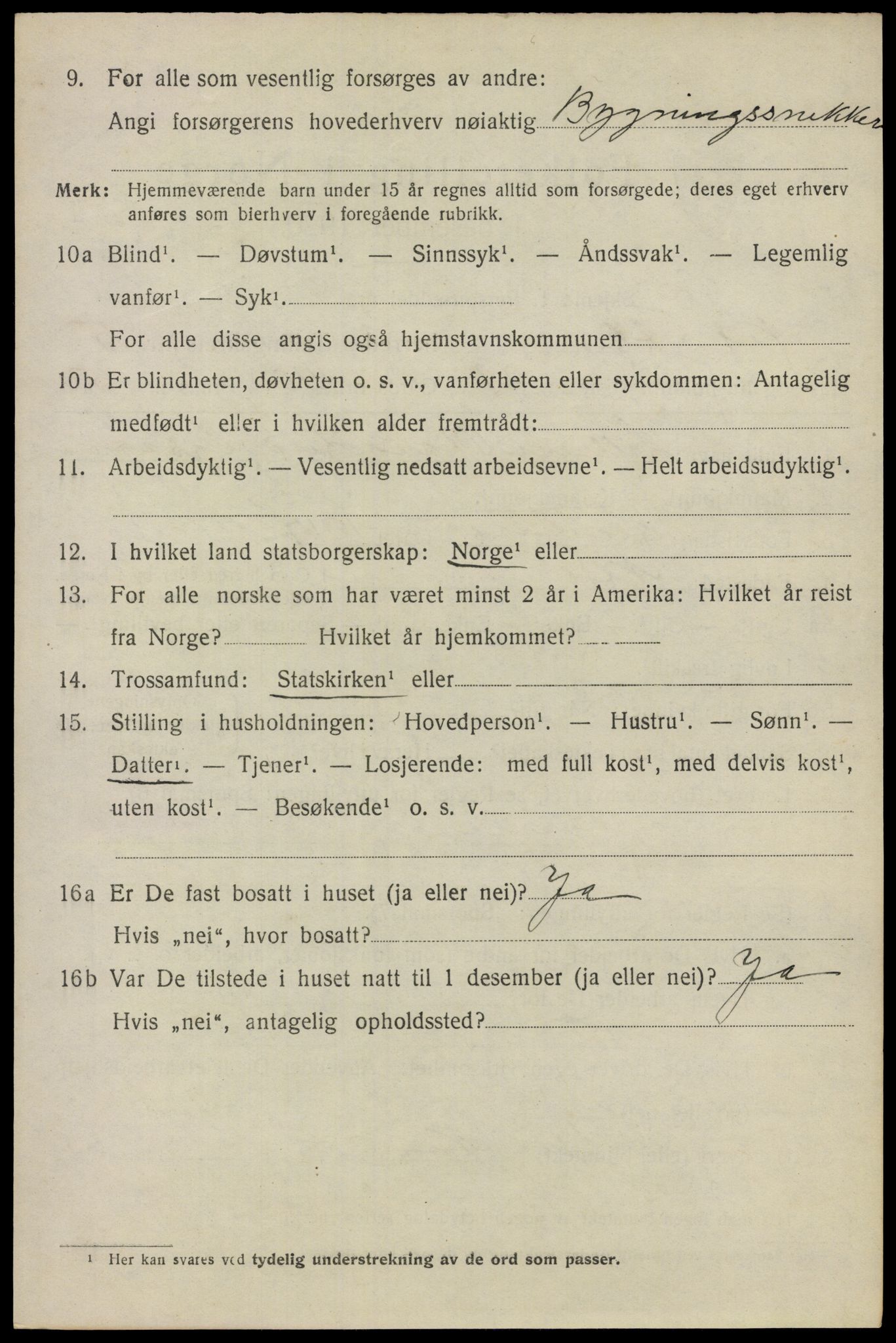 SAO, 1920 census for Nes, 1920, p. 6693