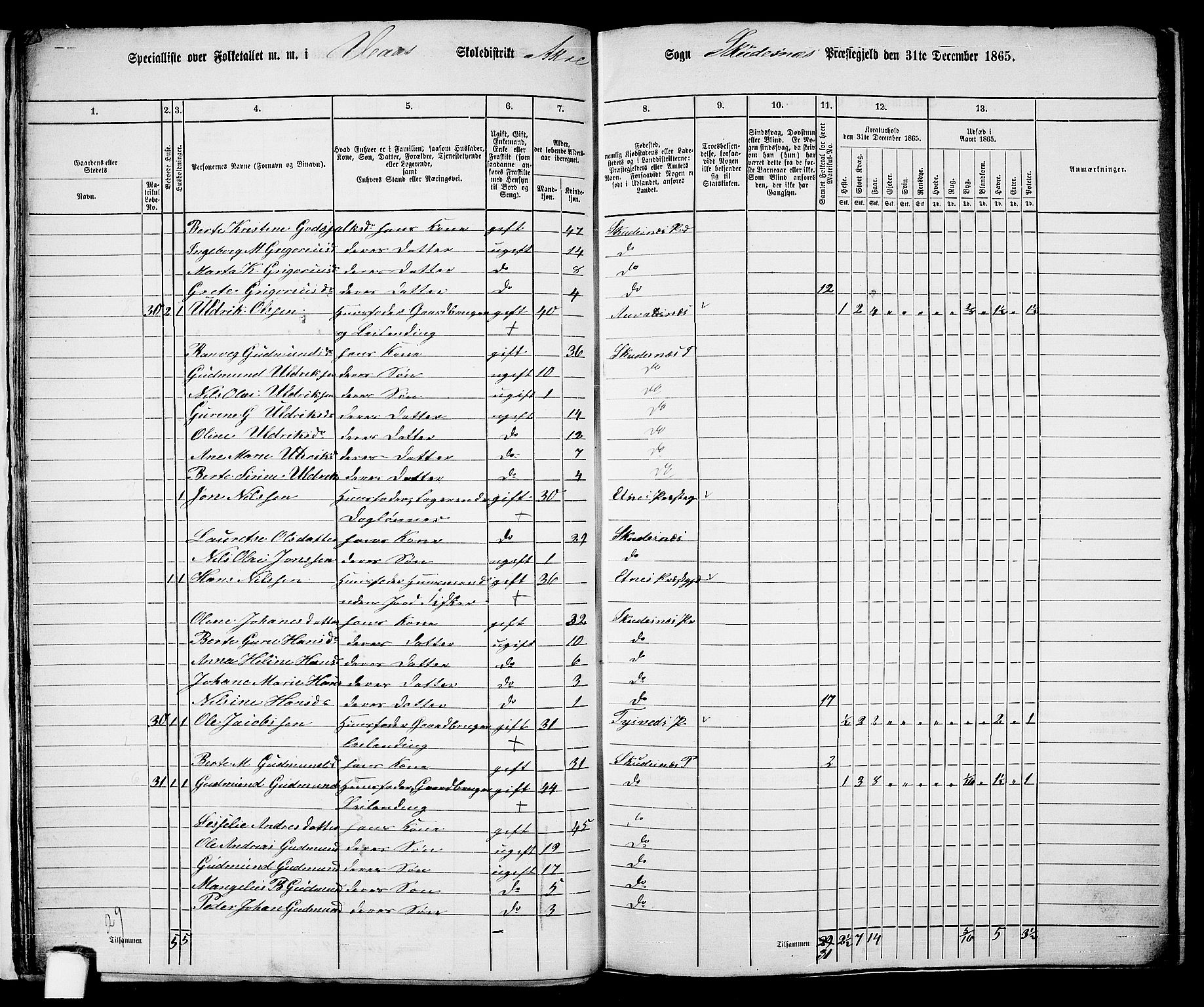 RA, 1865 census for Skudenes, 1865, p. 22