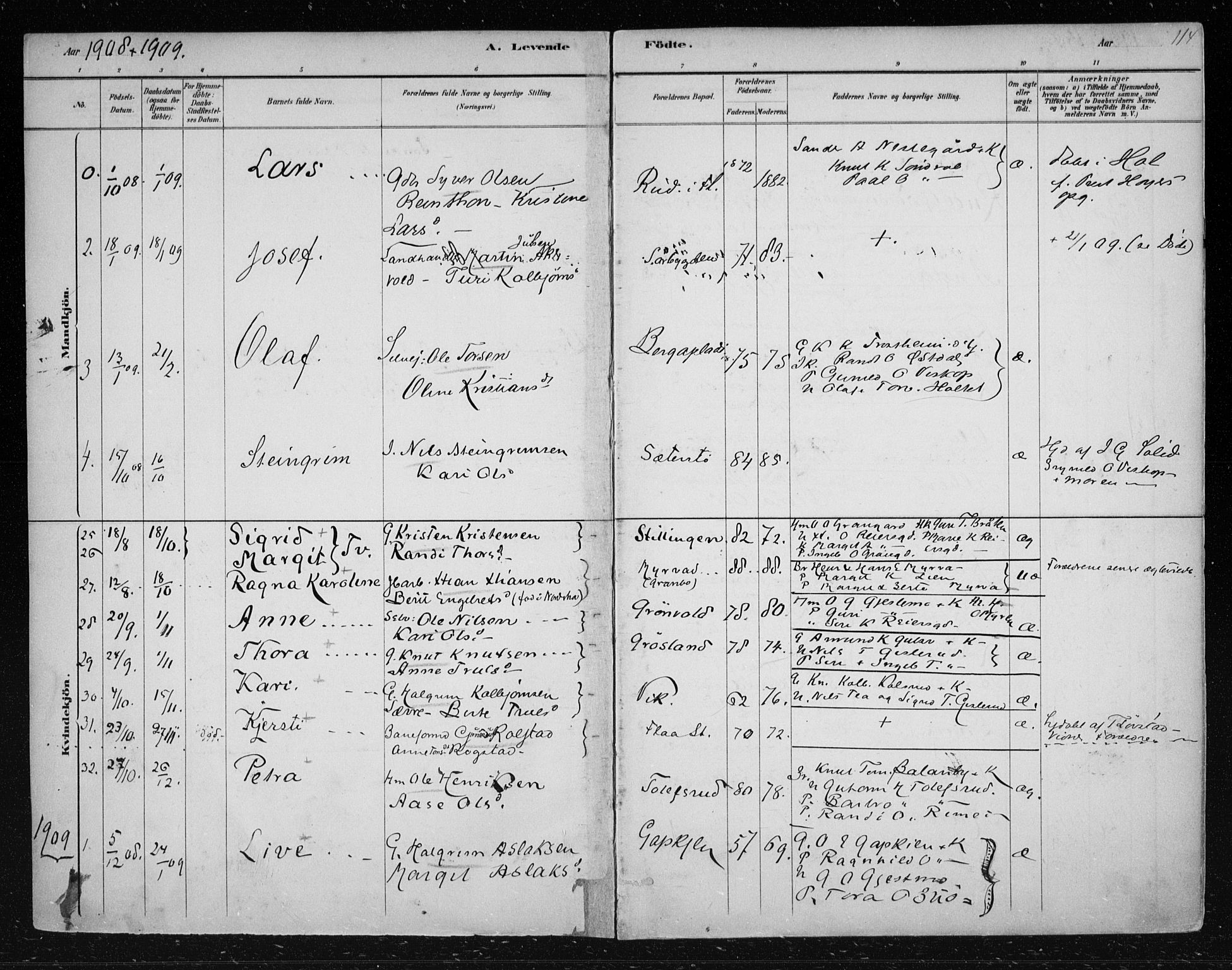 Nes kirkebøker, AV/SAKO-A-236/F/Fa/L0012: Parish register (official) no. 12, 1881-1917, p. 114