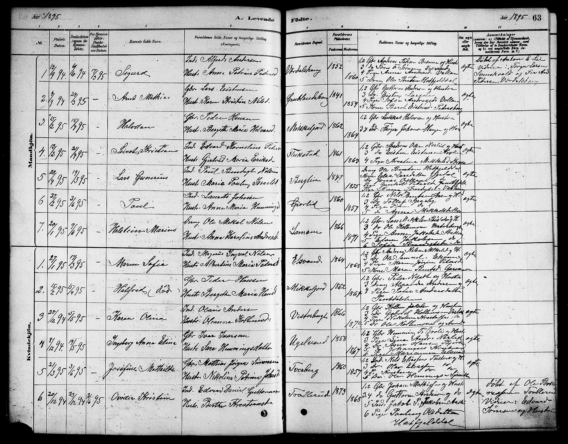 Ministerialprotokoller, klokkerbøker og fødselsregistre - Nordland, SAT/A-1459/823/L0330: Parish register (copy) no. 823C02, 1879-1916, p. 63