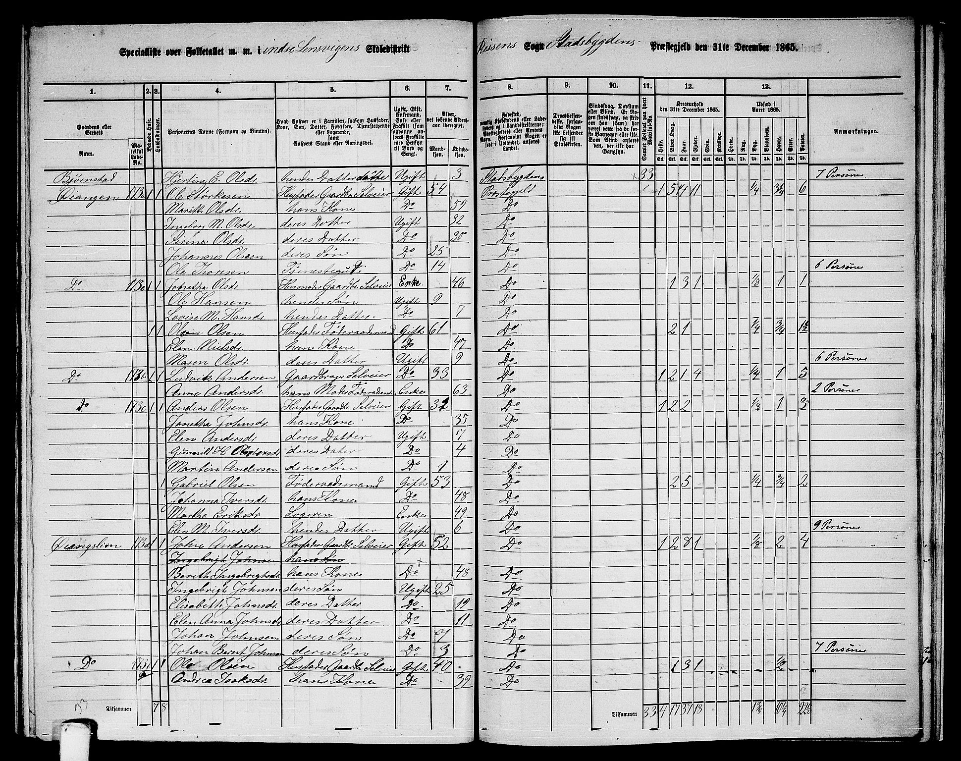 RA, 1865 census for Stadsbygd, 1865, p. 204