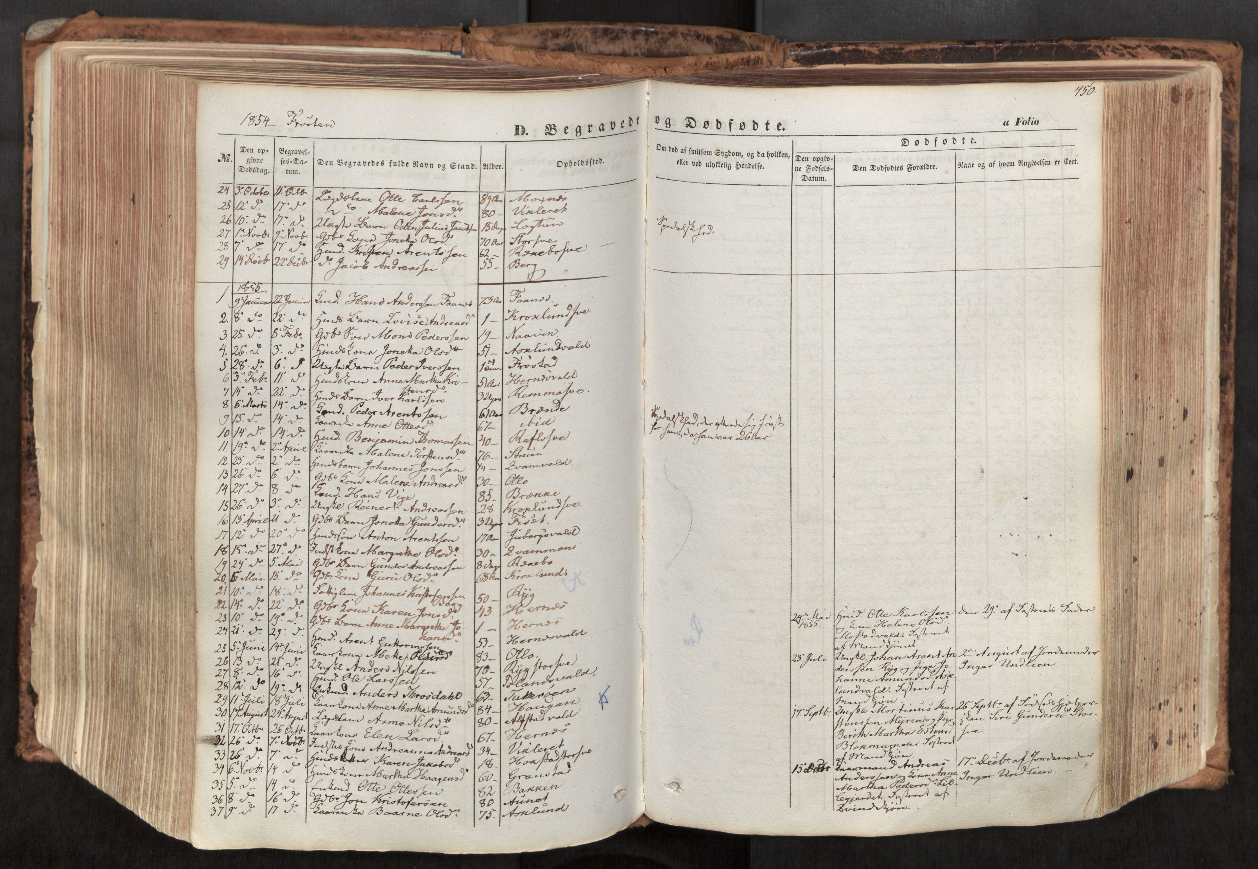 Ministerialprotokoller, klokkerbøker og fødselsregistre - Nord-Trøndelag, SAT/A-1458/713/L0116: Parish register (official) no. 713A07, 1850-1877, p. 450