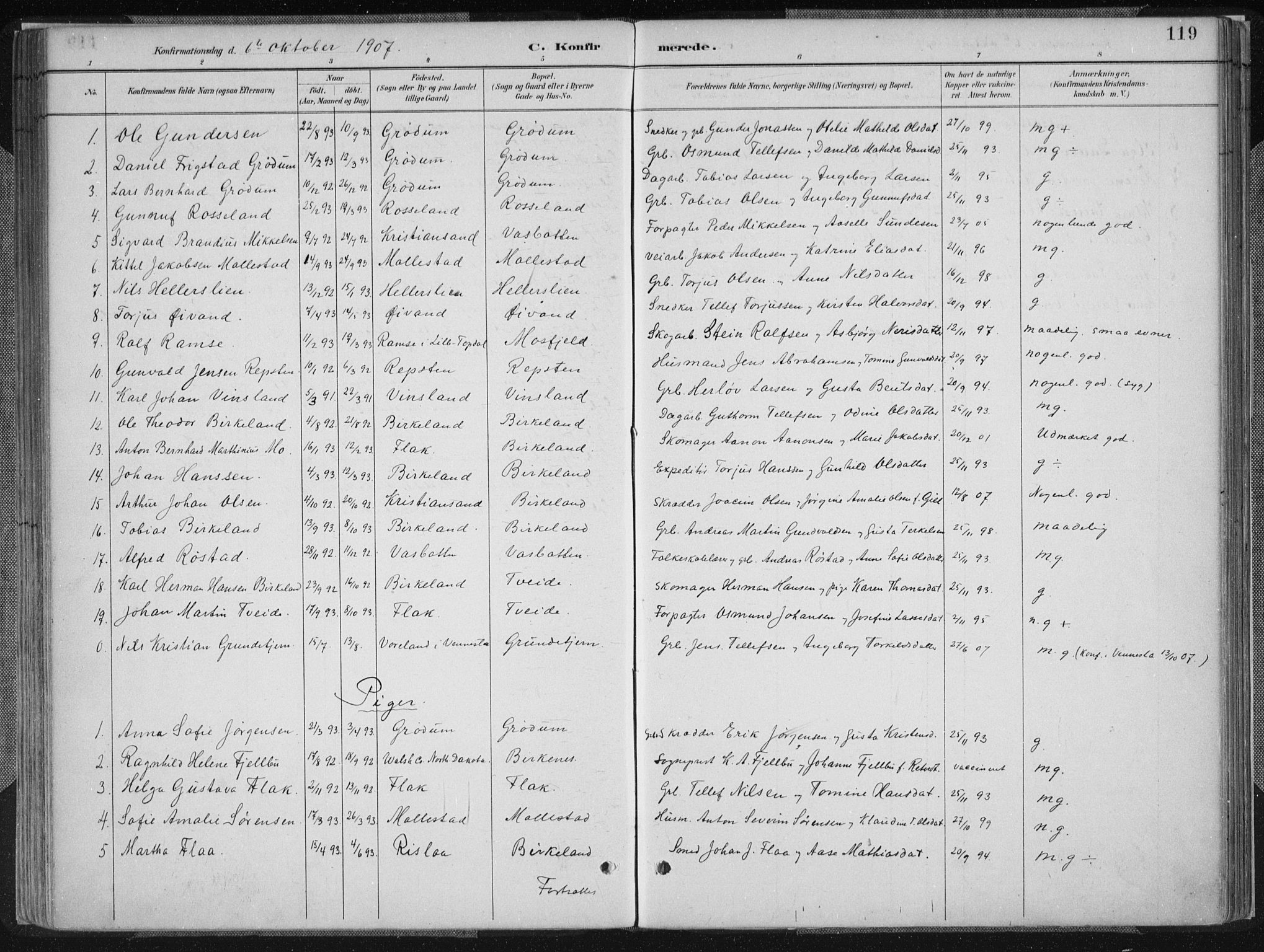 Birkenes sokneprestkontor, SAK/1111-0004/F/Fa/L0005: Parish register (official) no. A 5, 1887-1907, p. 119