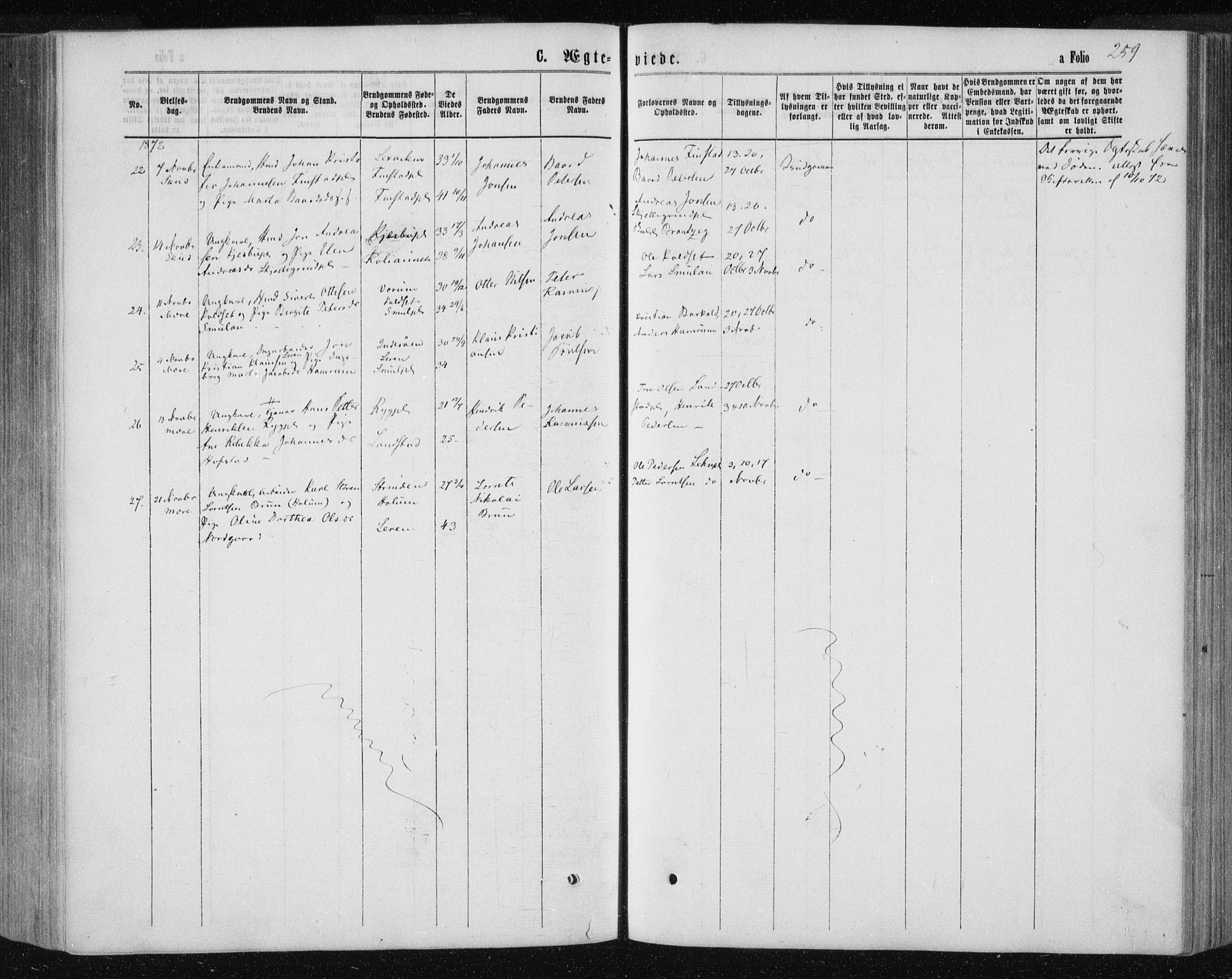 Ministerialprotokoller, klokkerbøker og fødselsregistre - Nord-Trøndelag, AV/SAT-A-1458/735/L0345: Parish register (official) no. 735A08 /1, 1863-1872, p. 259