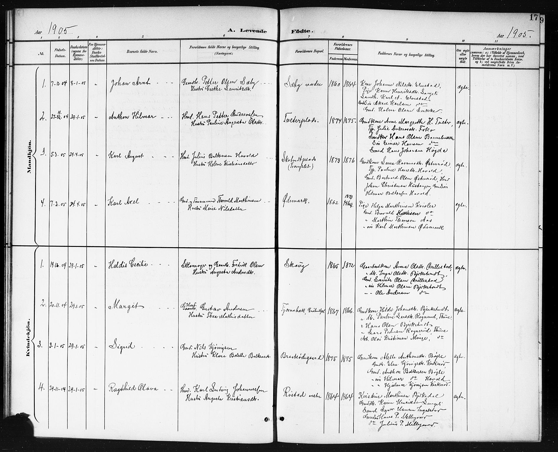 Våler prestekontor Kirkebøker, SAO/A-11083/G/Gb/L0001: Parish register (copy) no. II 1, 1901-1916, p. 17