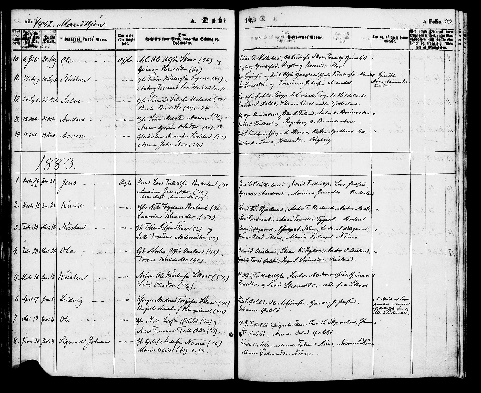 Holum sokneprestkontor, SAK/1111-0022/F/Fa/Fac/L0003: Parish register (official) no. A 3, 1860-1883, p. 33