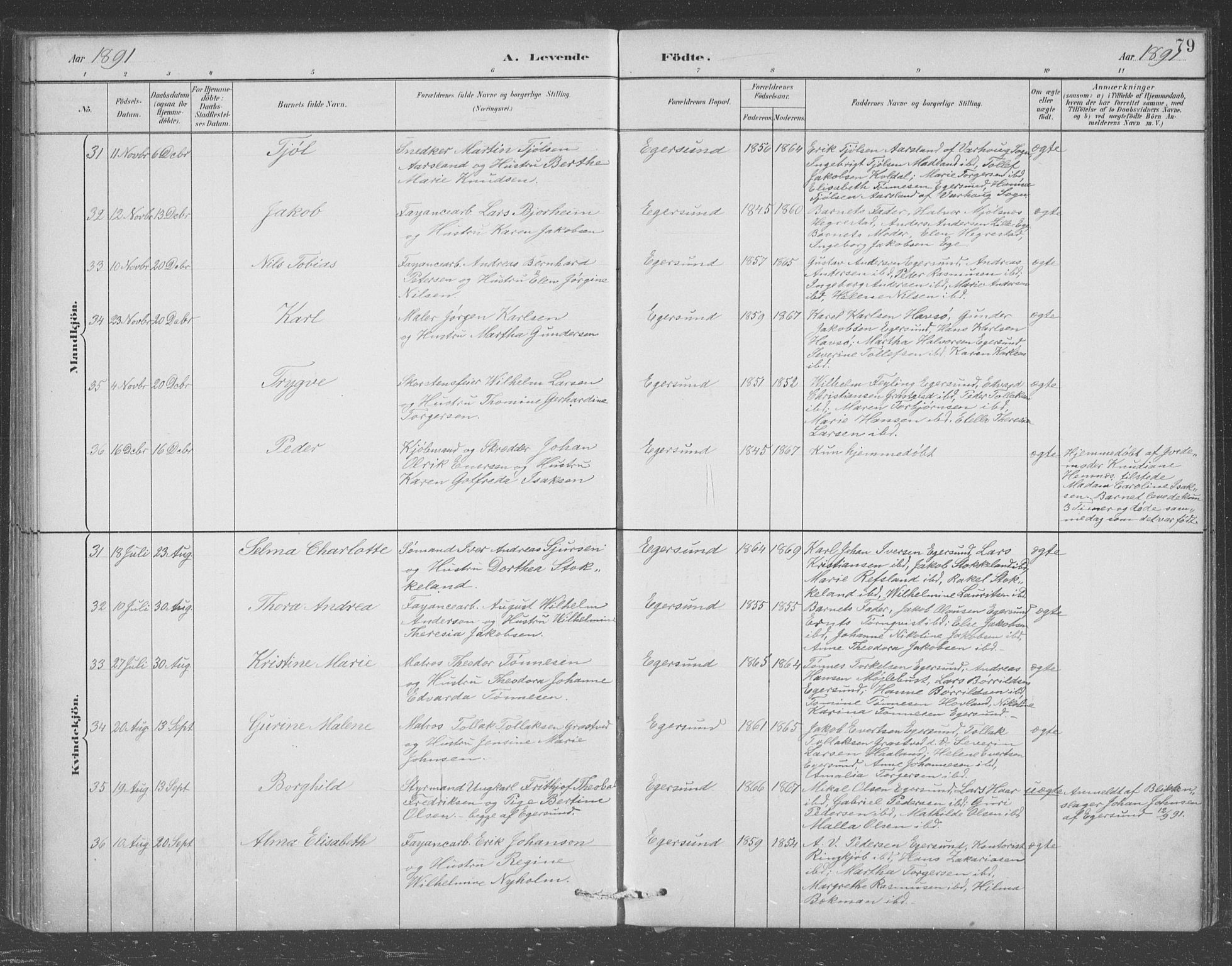 Eigersund sokneprestkontor, AV/SAST-A-101807/S09/L0008: Parish register (copy) no. B 8, 1882-1892, p. 79