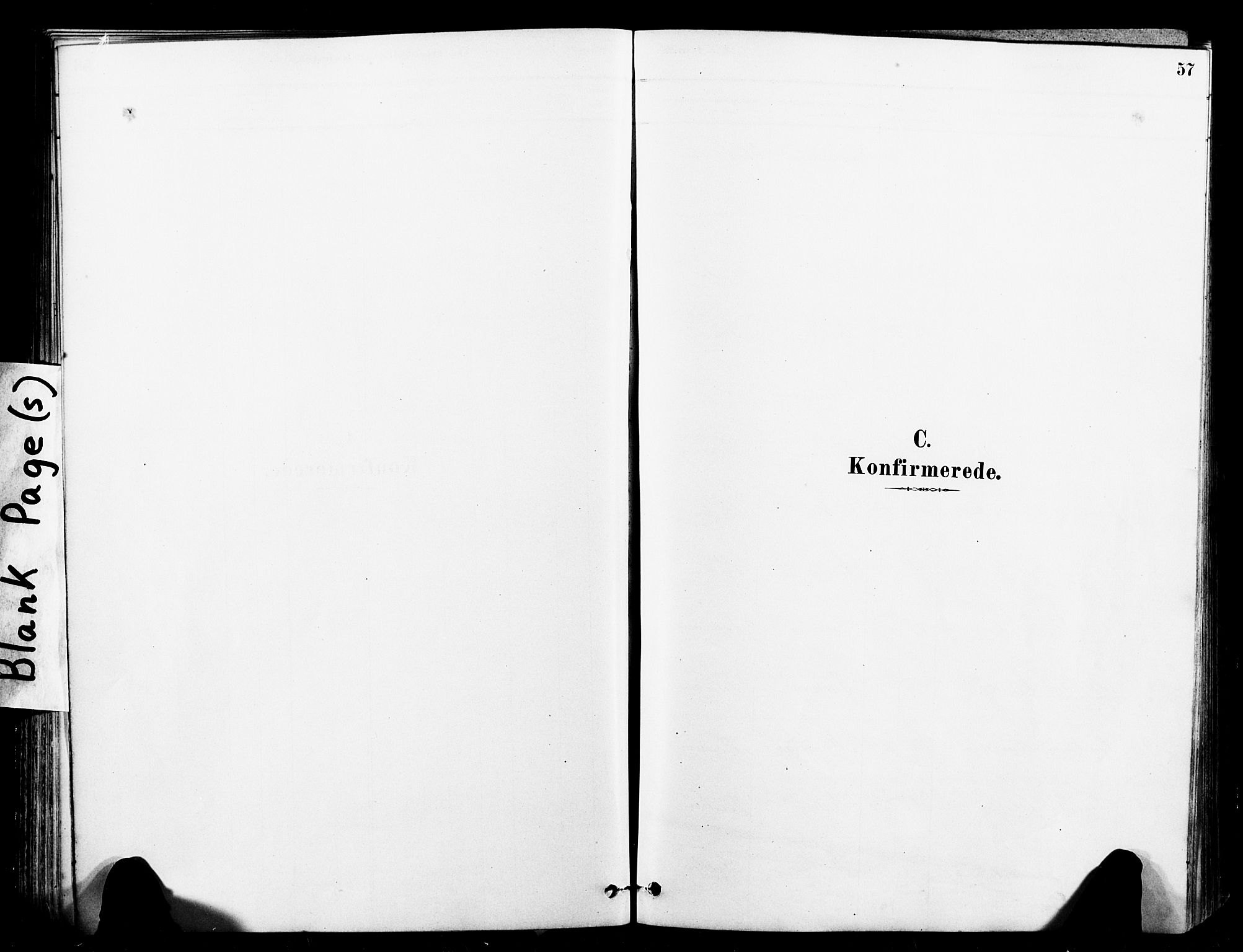 Ministerialprotokoller, klokkerbøker og fødselsregistre - Sør-Trøndelag, SAT/A-1456/641/L0595: Parish register (official) no. 641A01, 1882-1897, p. 57