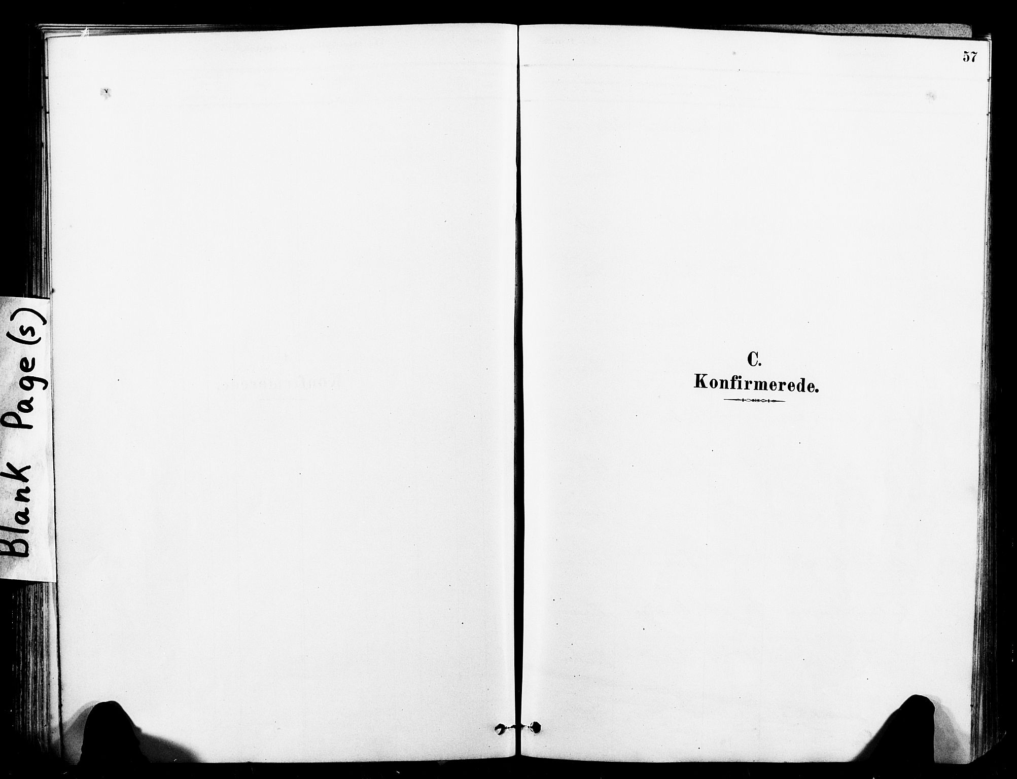 Ministerialprotokoller, klokkerbøker og fødselsregistre - Sør-Trøndelag, AV/SAT-A-1456/641/L0595: Parish register (official) no. 641A01, 1882-1897, p. 57