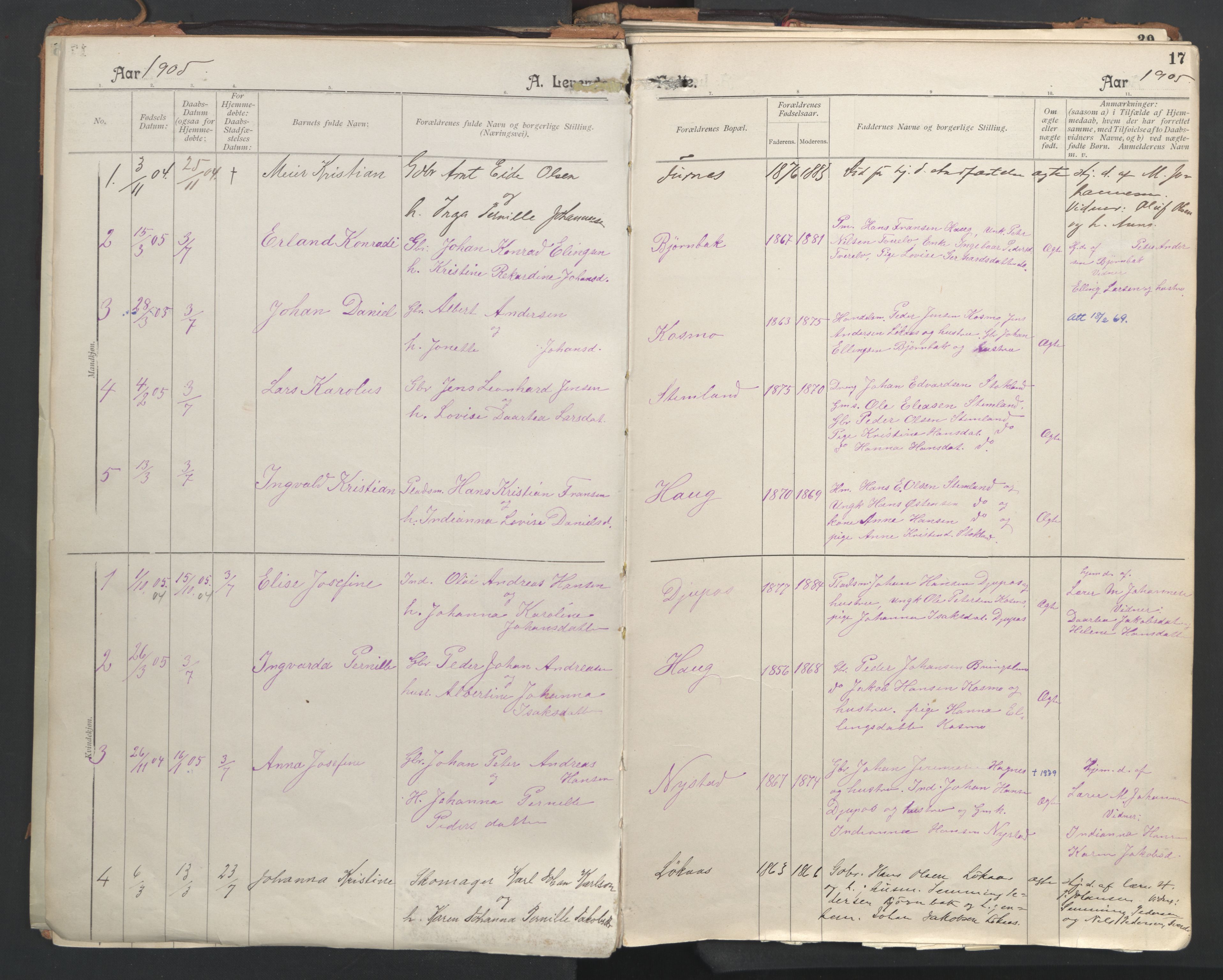 Ministerialprotokoller, klokkerbøker og fødselsregistre - Nordland, AV/SAT-A-1459/851/L0724: Parish register (official) no. 851A01, 1901-1922, p. 17