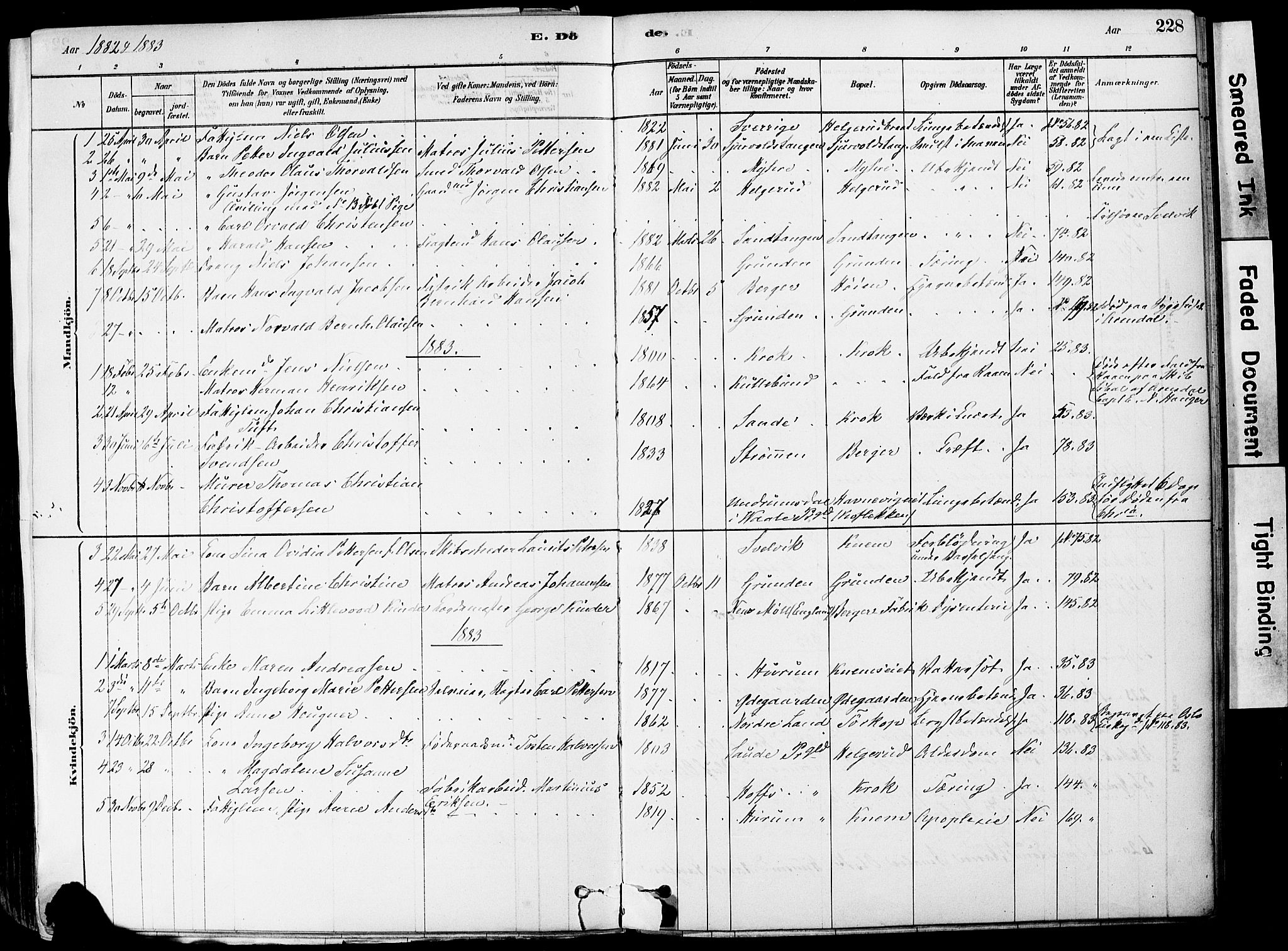 Strømm kirkebøker, AV/SAKO-A-322/F/Fa/L0004: Parish register (official) no. I 4, 1878-1899, p. 228