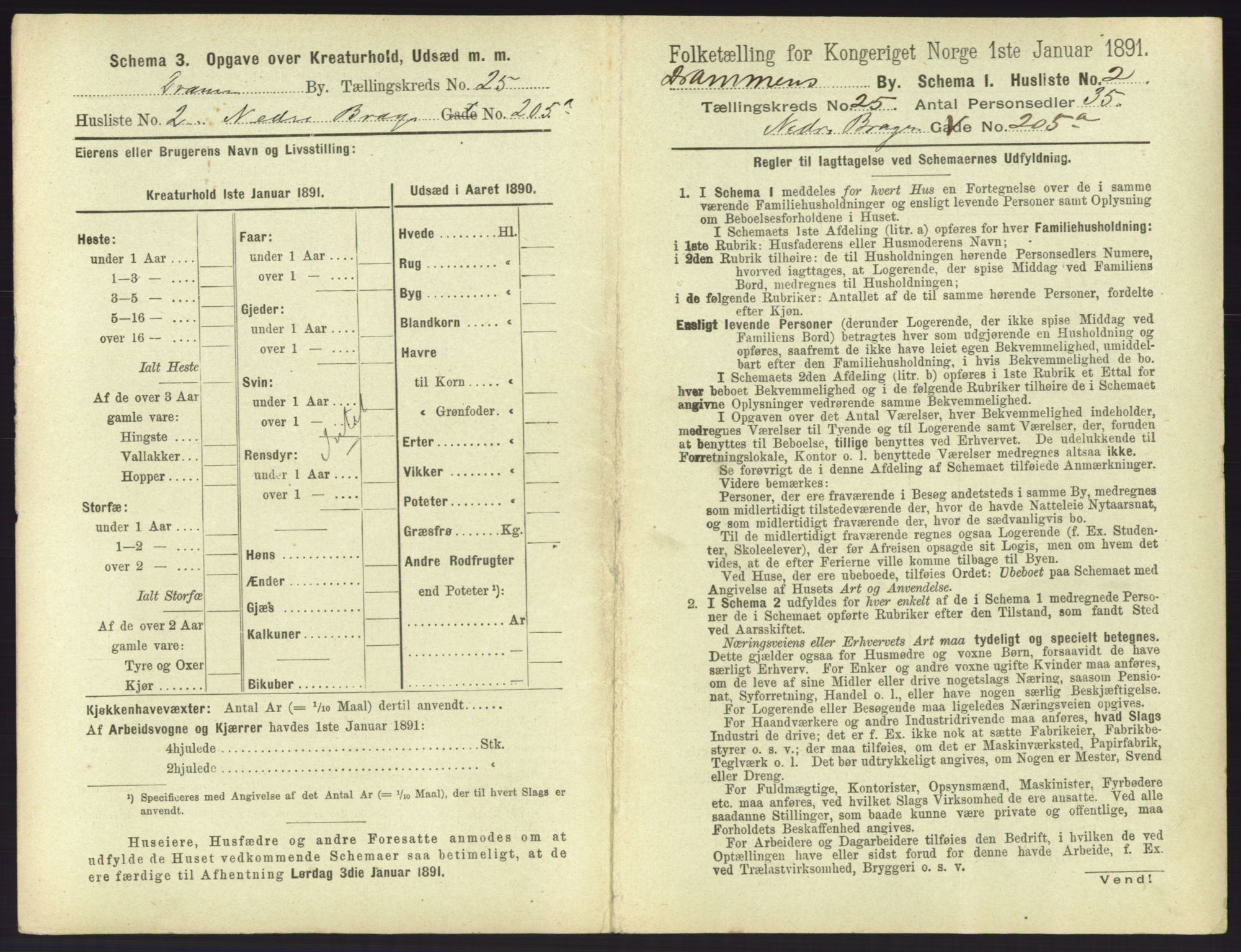 RA, 1891 census for 0602 Drammen, 1891, p. 2077