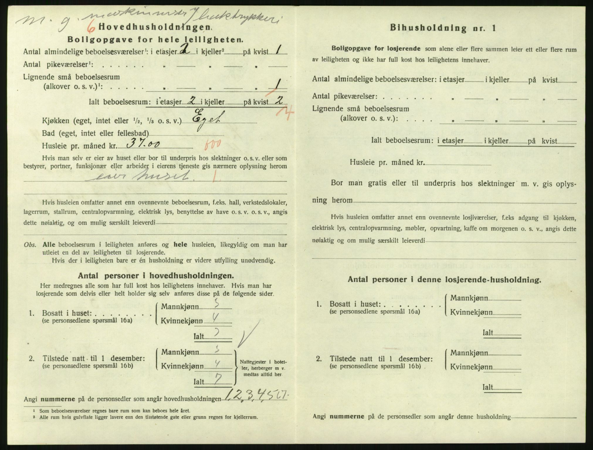 SAKO, 1920 census for Larvik, 1920, p. 4513