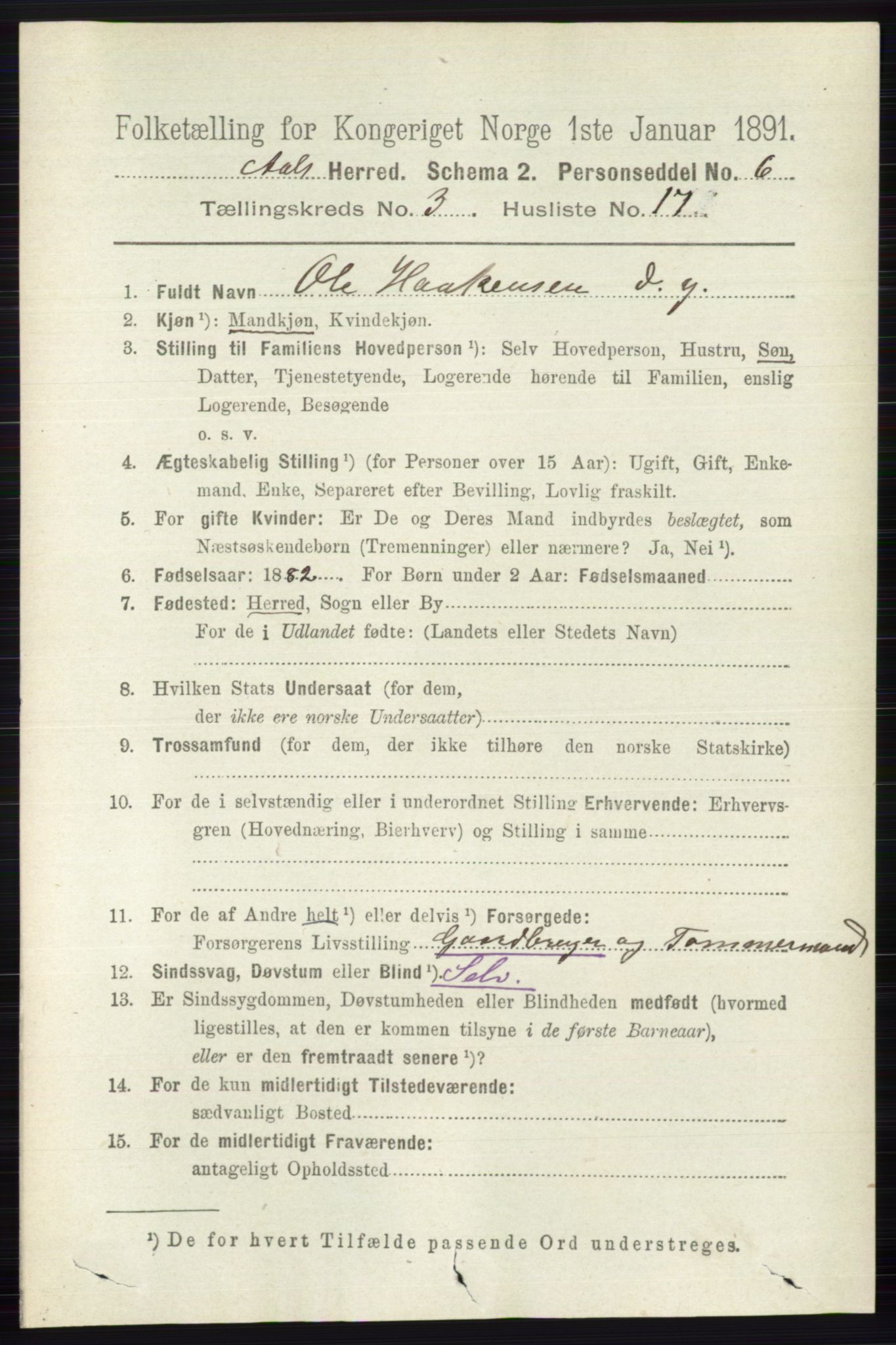 RA, 1891 census for 0619 Ål, 1891, p. 758