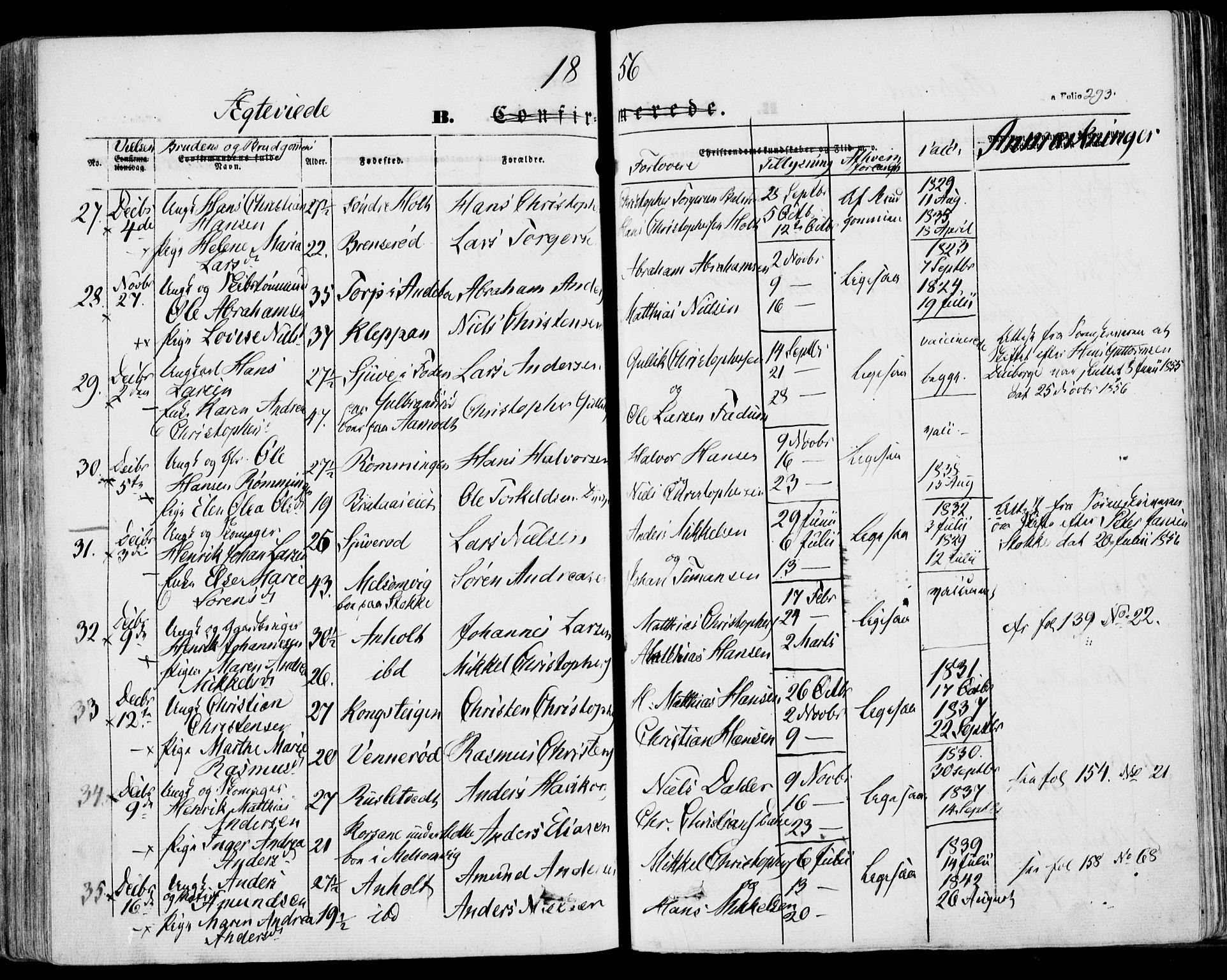 Stokke kirkebøker, AV/SAKO-A-320/F/Fa/L0007: Parish register (official) no. I 7, 1844-1857, p. 293