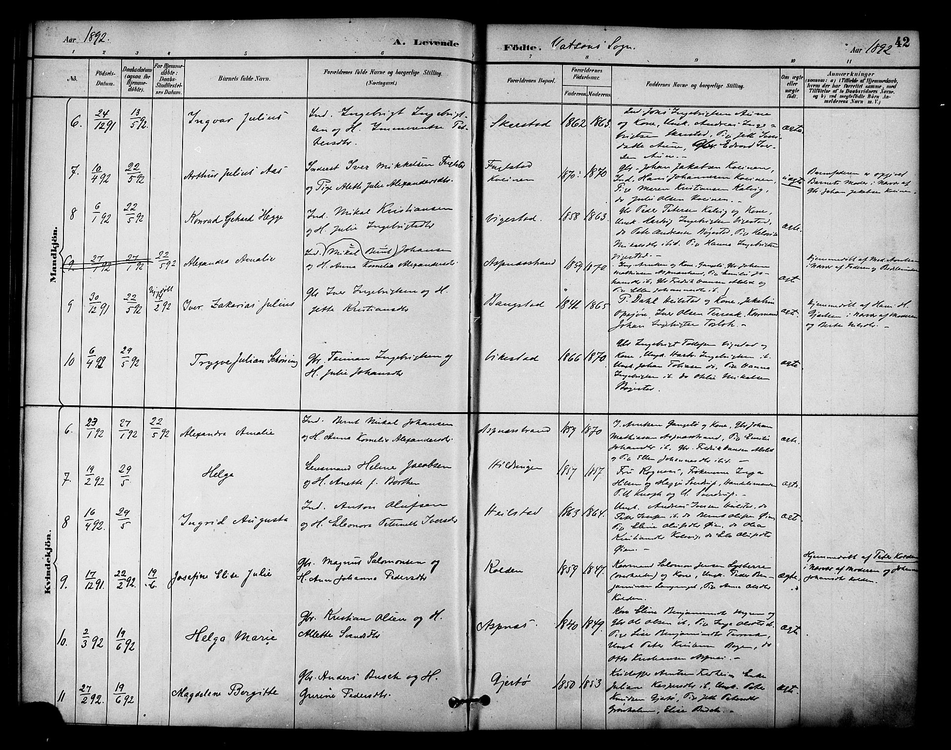 Ministerialprotokoller, klokkerbøker og fødselsregistre - Nordland, AV/SAT-A-1459/810/L0150: Parish register (official) no. 810A10 /1, 1884-1895, p. 42