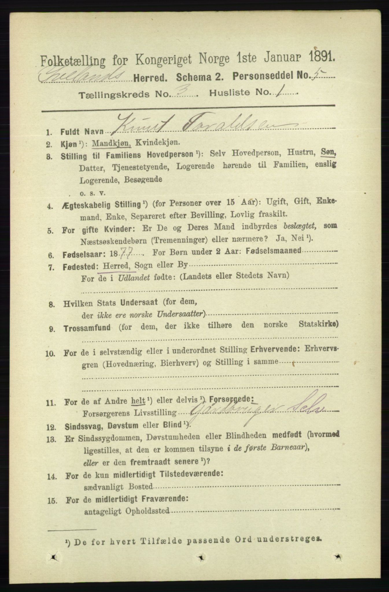 RA, 1891 census for 0935 Iveland, 1891, p. 733