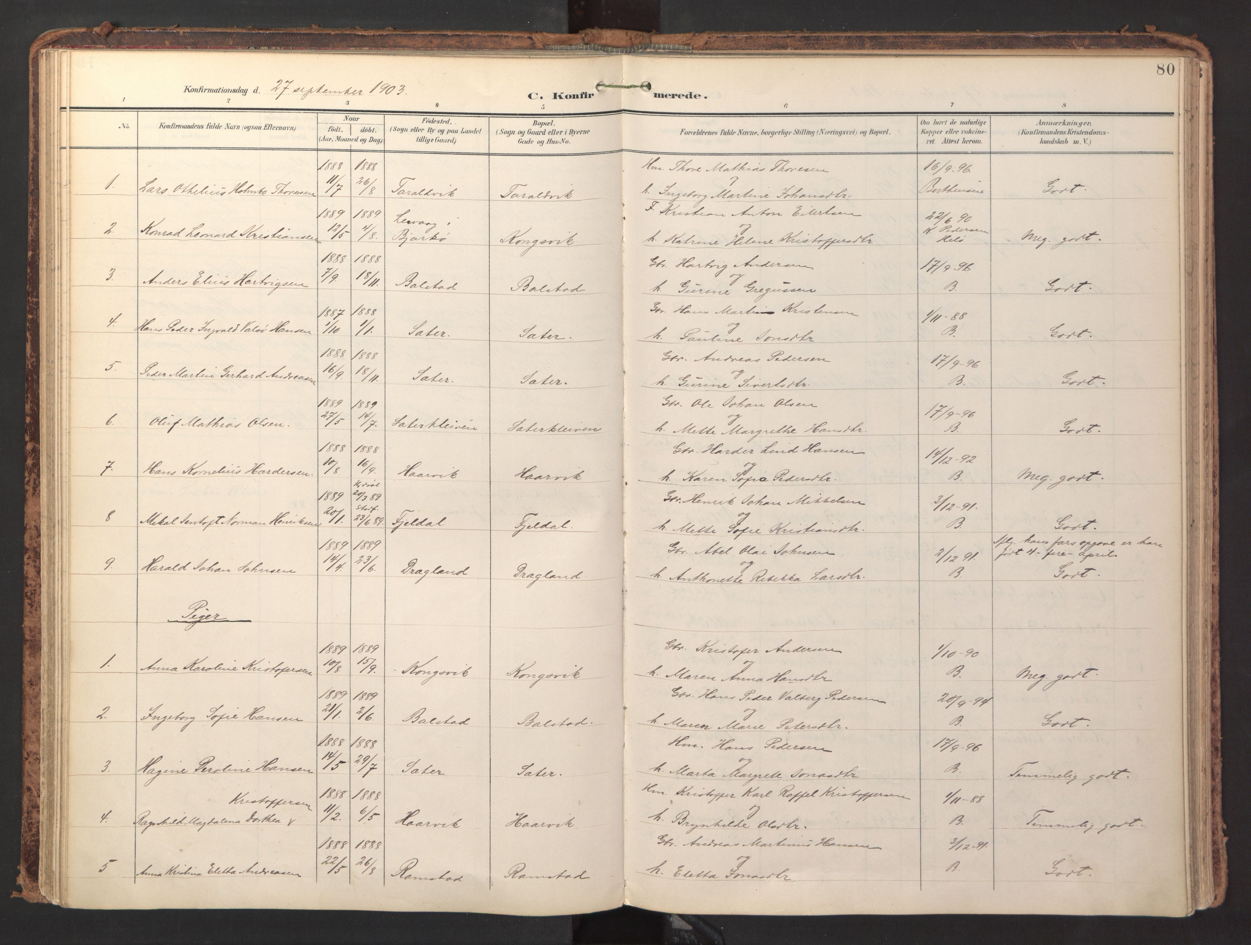 Ministerialprotokoller, klokkerbøker og fødselsregistre - Nordland, AV/SAT-A-1459/865/L0926: Parish register (official) no. 865A04, 1897-1912, p. 80