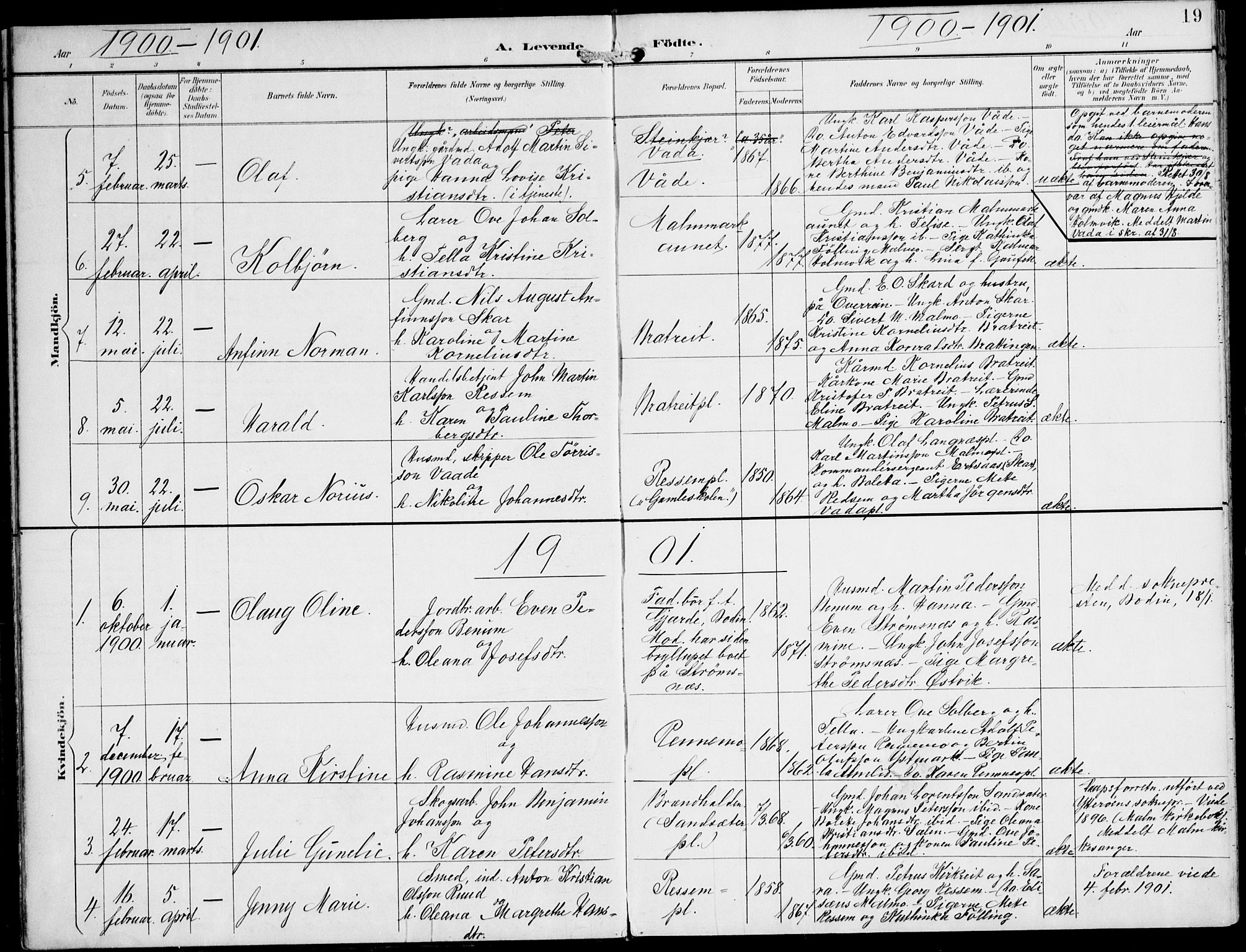 Ministerialprotokoller, klokkerbøker og fødselsregistre - Nord-Trøndelag, SAT/A-1458/745/L0430: Parish register (official) no. 745A02, 1895-1913, p. 19