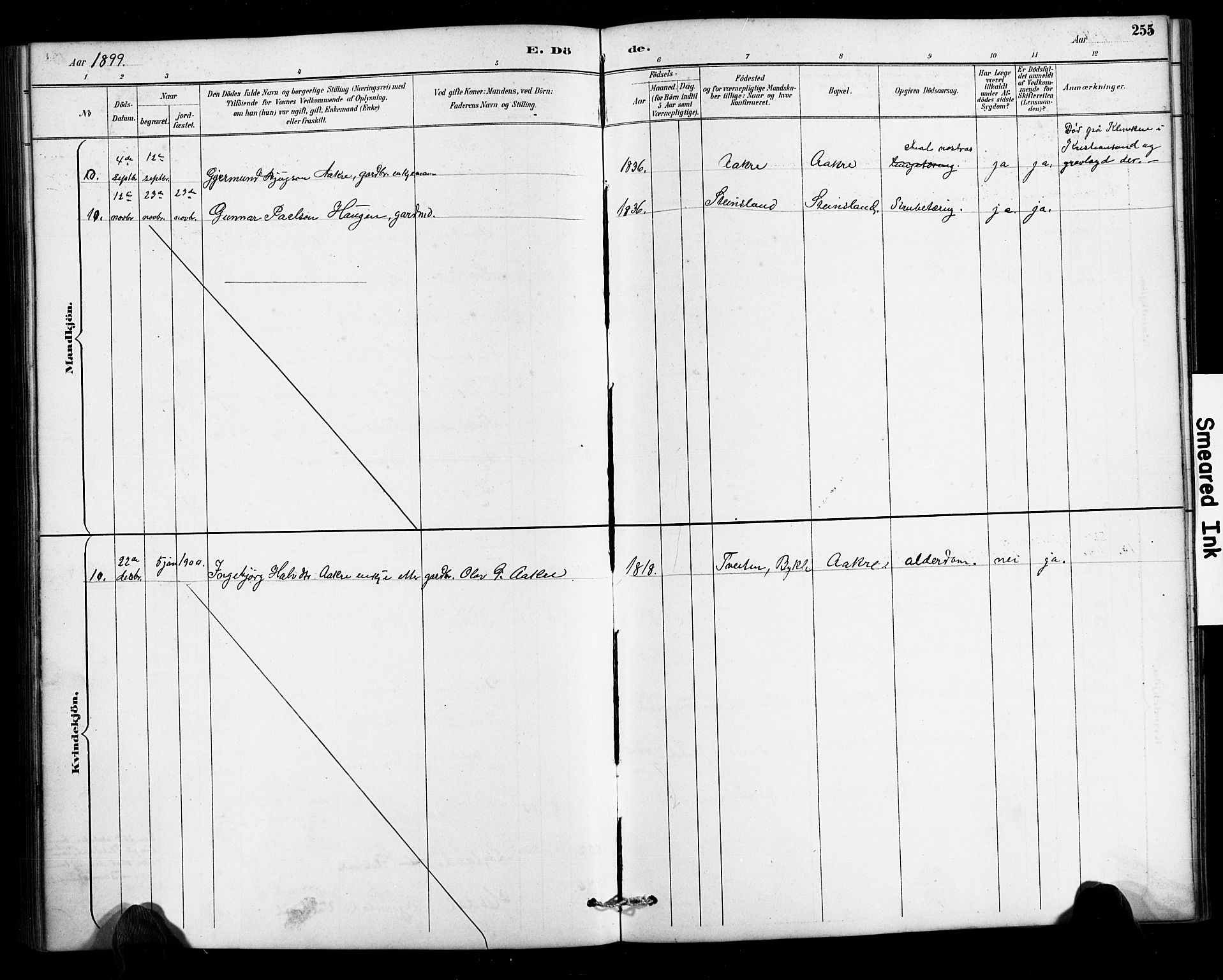 Valle sokneprestkontor, AV/SAK-1111-0044/F/Fb/Fbc/L0004: Parish register (copy) no. B 4, 1890-1928, p. 255