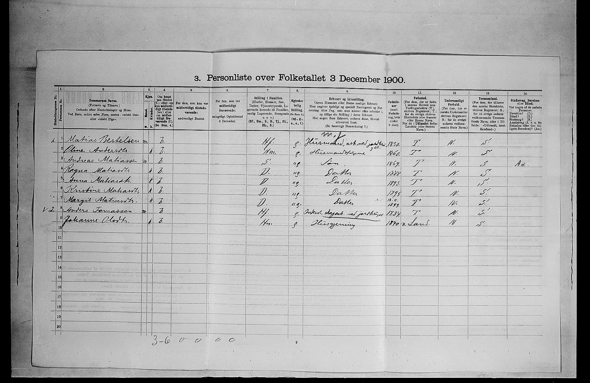 SAH, 1900 census for Ringsaker, 1900, p. 338