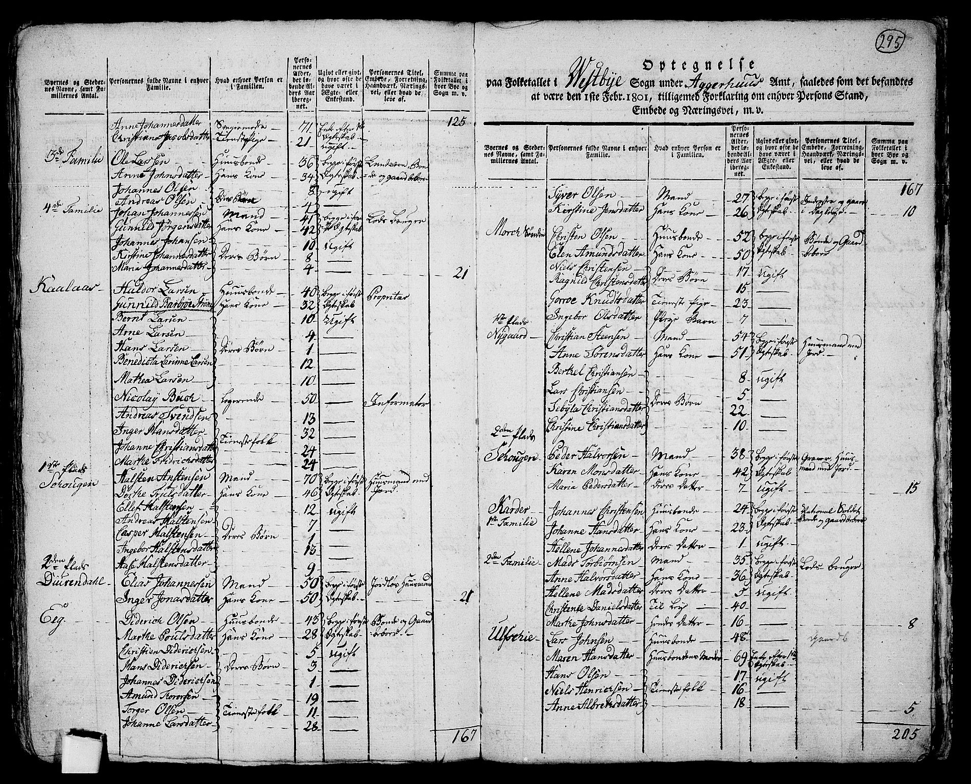 RA, 1801 census for 0211P Vestby, 1801, p. 294b-295a