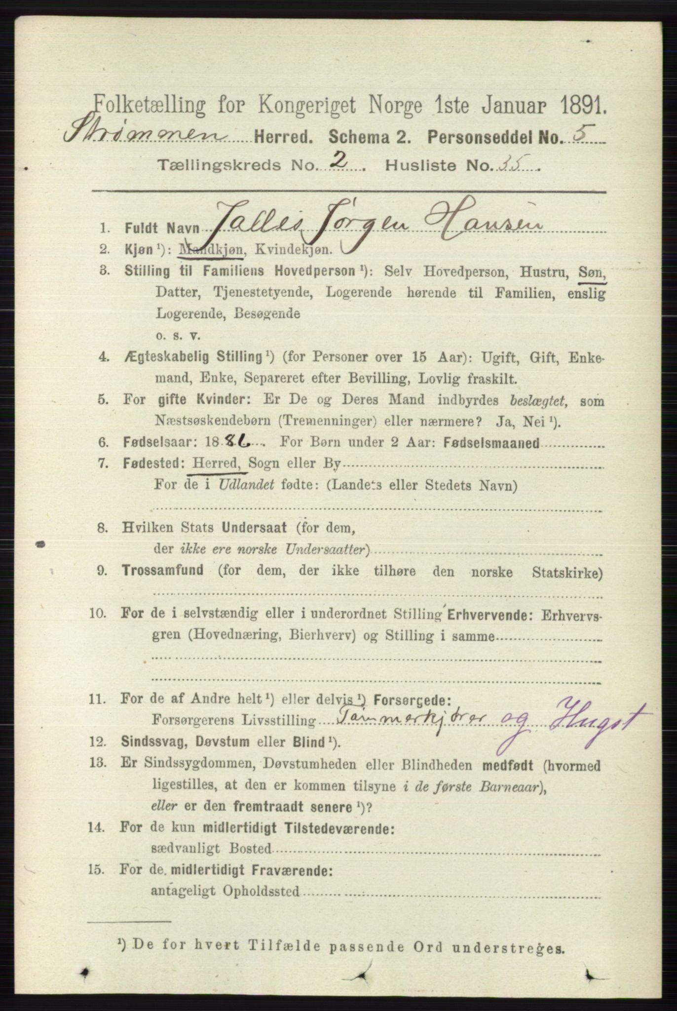 RA, 1891 census for 0711 Strømm, 1891, p. 900