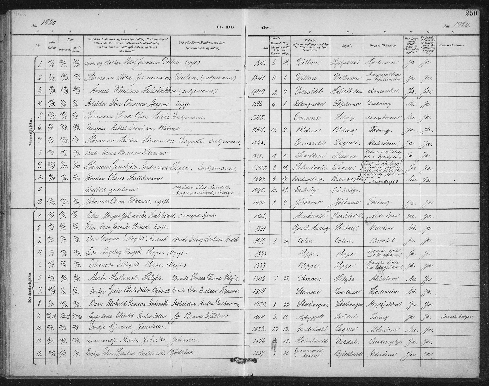 Ministerialprotokoller, klokkerbøker og fødselsregistre - Nord-Trøndelag, SAT/A-1458/724/L0269: Parish register (copy) no. 724C05, 1899-1920, p. 250