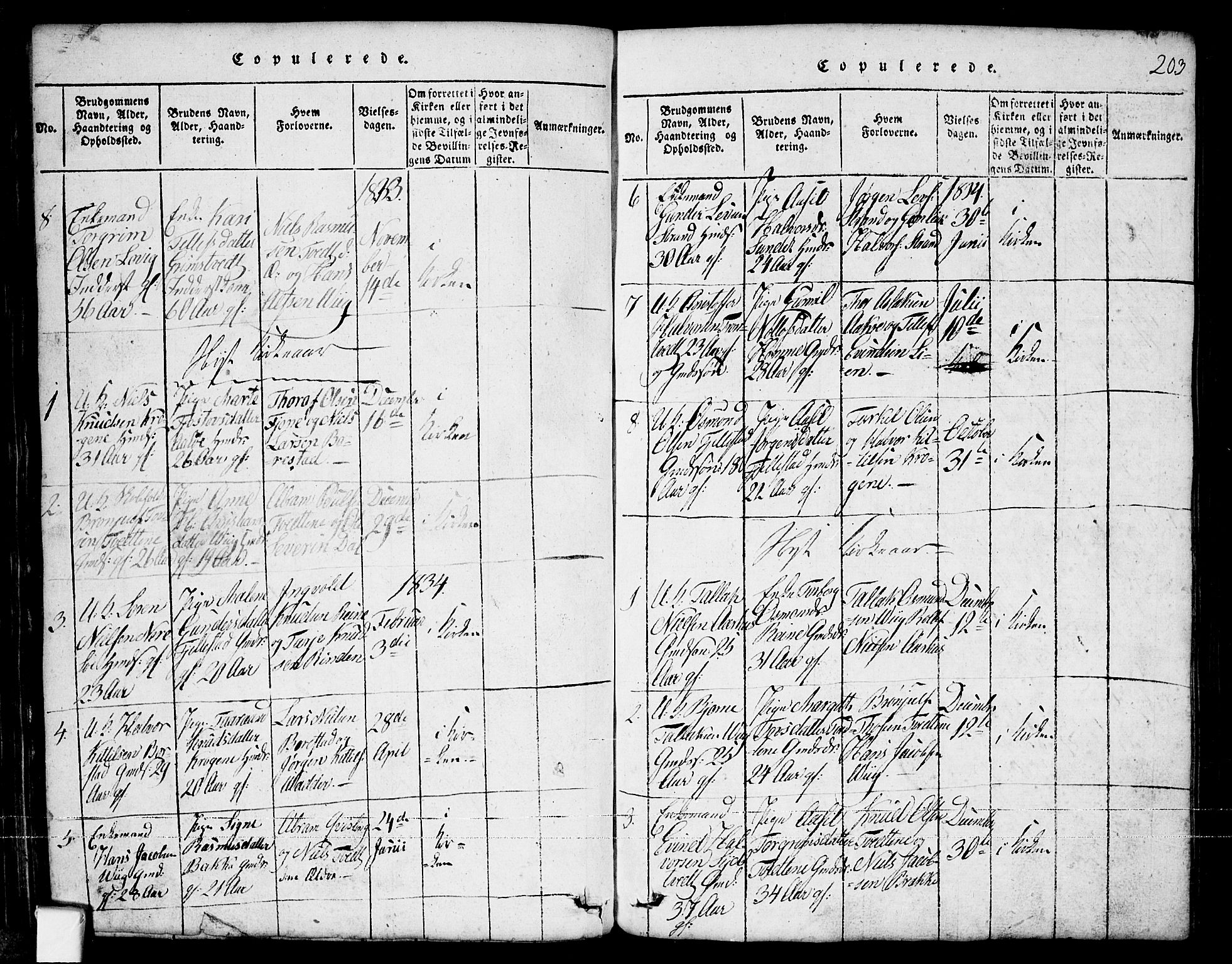 Nissedal kirkebøker, SAKO/A-288/G/Ga/L0001: Parish register (copy) no. I 1, 1814-1860, p. 203
