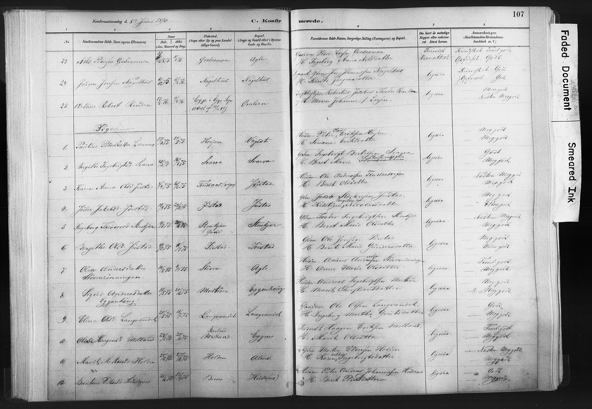 Ministerialprotokoller, klokkerbøker og fødselsregistre - Nord-Trøndelag, SAT/A-1458/749/L0474: Parish register (official) no. 749A08, 1887-1903, p. 107
