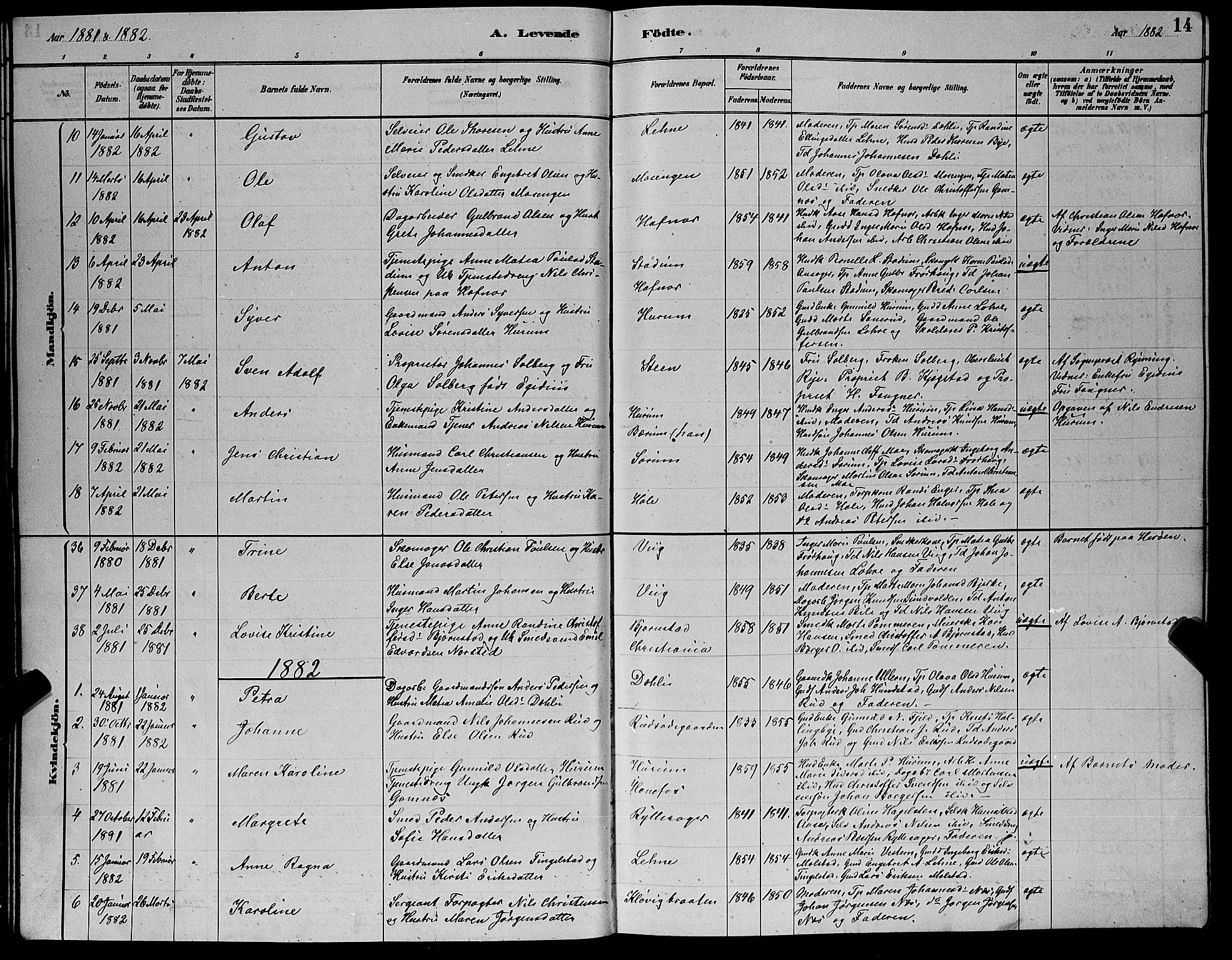 Hole kirkebøker, AV/SAKO-A-228/G/Ga/L0003: Parish register (copy) no. I 3, 1879-1904, p. 14