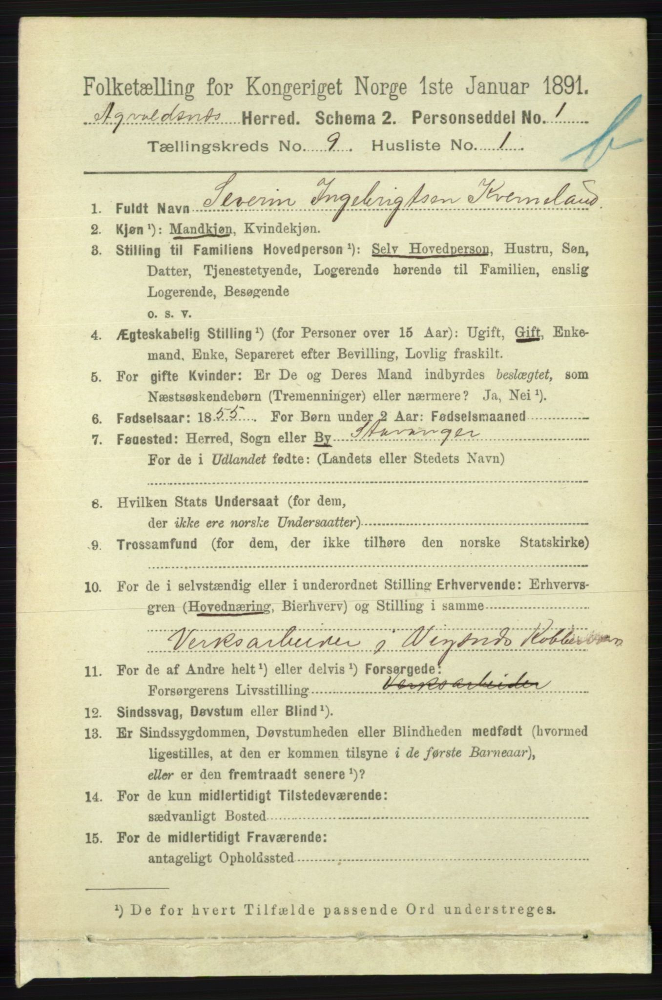 RA, 1891 census for 1147 Avaldsnes, 1891, p. 4960