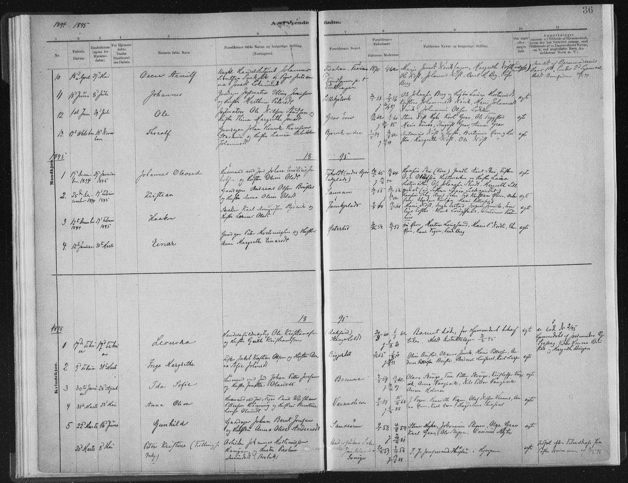 Ministerialprotokoller, klokkerbøker og fødselsregistre - Nord-Trøndelag, SAT/A-1458/722/L0220: Parish register (official) no. 722A07, 1881-1908, p. 36