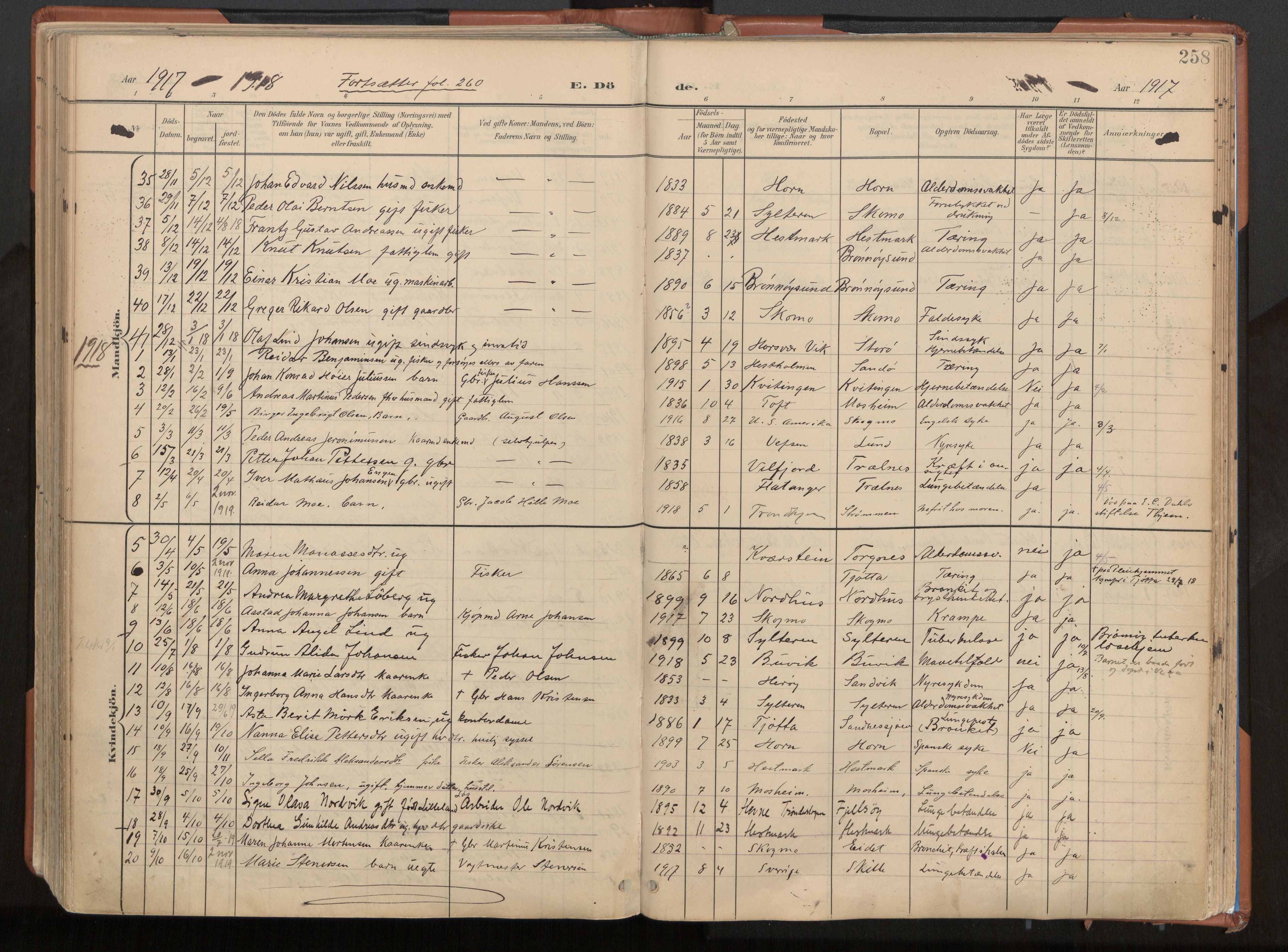 Ministerialprotokoller, klokkerbøker og fødselsregistre - Nordland, AV/SAT-A-1459/813/L0201: Parish register (official) no. 813A11, 1901-1918, p. 258