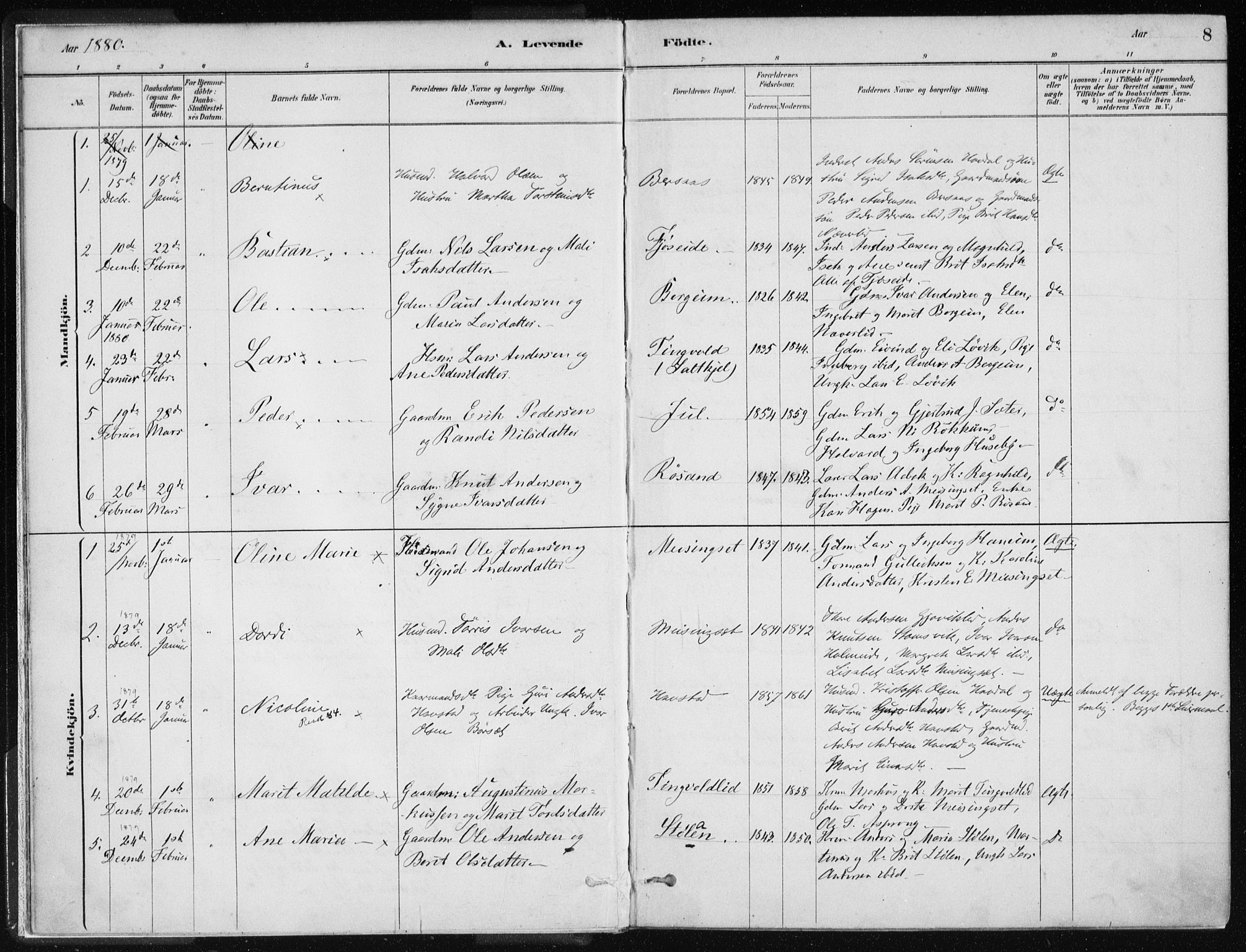 Ministerialprotokoller, klokkerbøker og fødselsregistre - Møre og Romsdal, SAT/A-1454/586/L0987: Parish register (official) no. 586A13, 1879-1892, p. 8