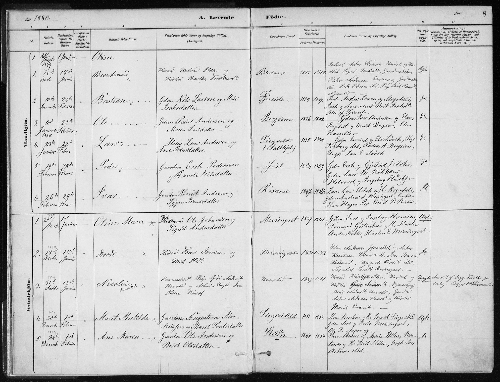 Ministerialprotokoller, klokkerbøker og fødselsregistre - Møre og Romsdal, AV/SAT-A-1454/586/L0987: Parish register (official) no. 586A13, 1879-1892, p. 8