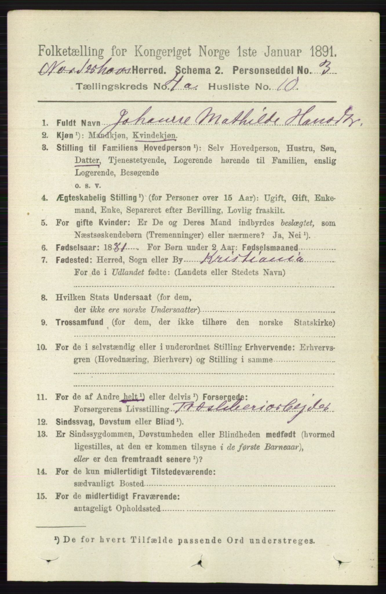 RA, 1891 census for 0613 Norderhov, 1891, p. 1765
