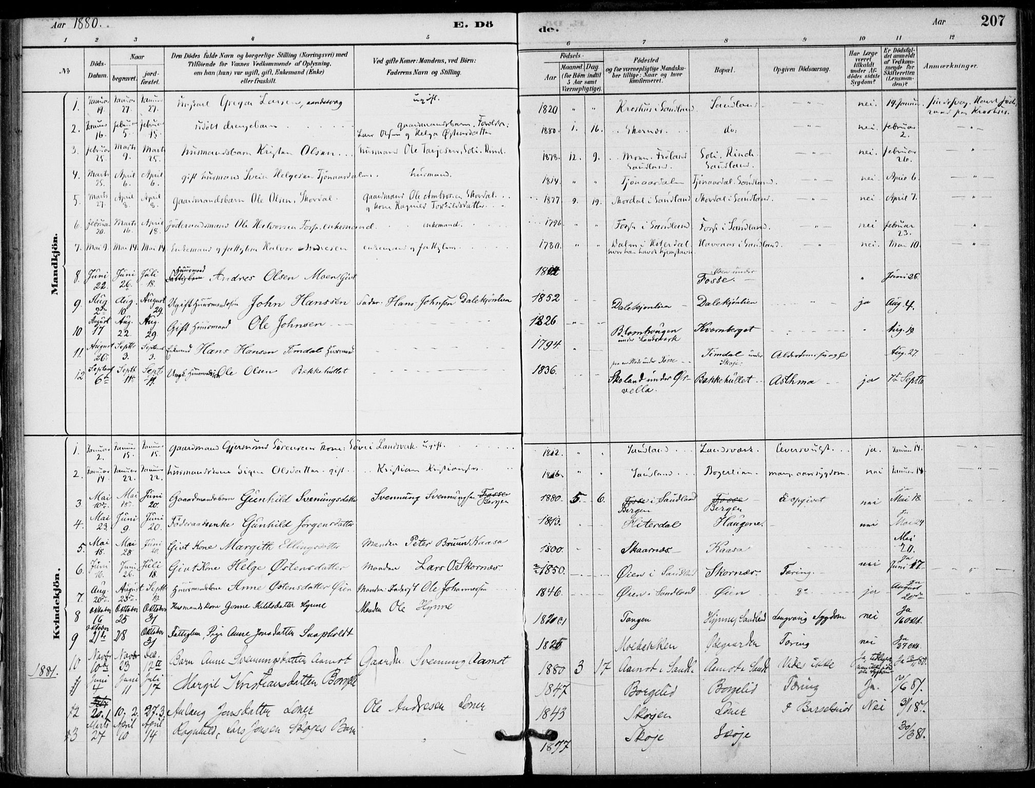 Hjartdal kirkebøker, SAKO/A-270/F/Fb/L0002: Parish register (official) no. II 2, 1880-1932, p. 207