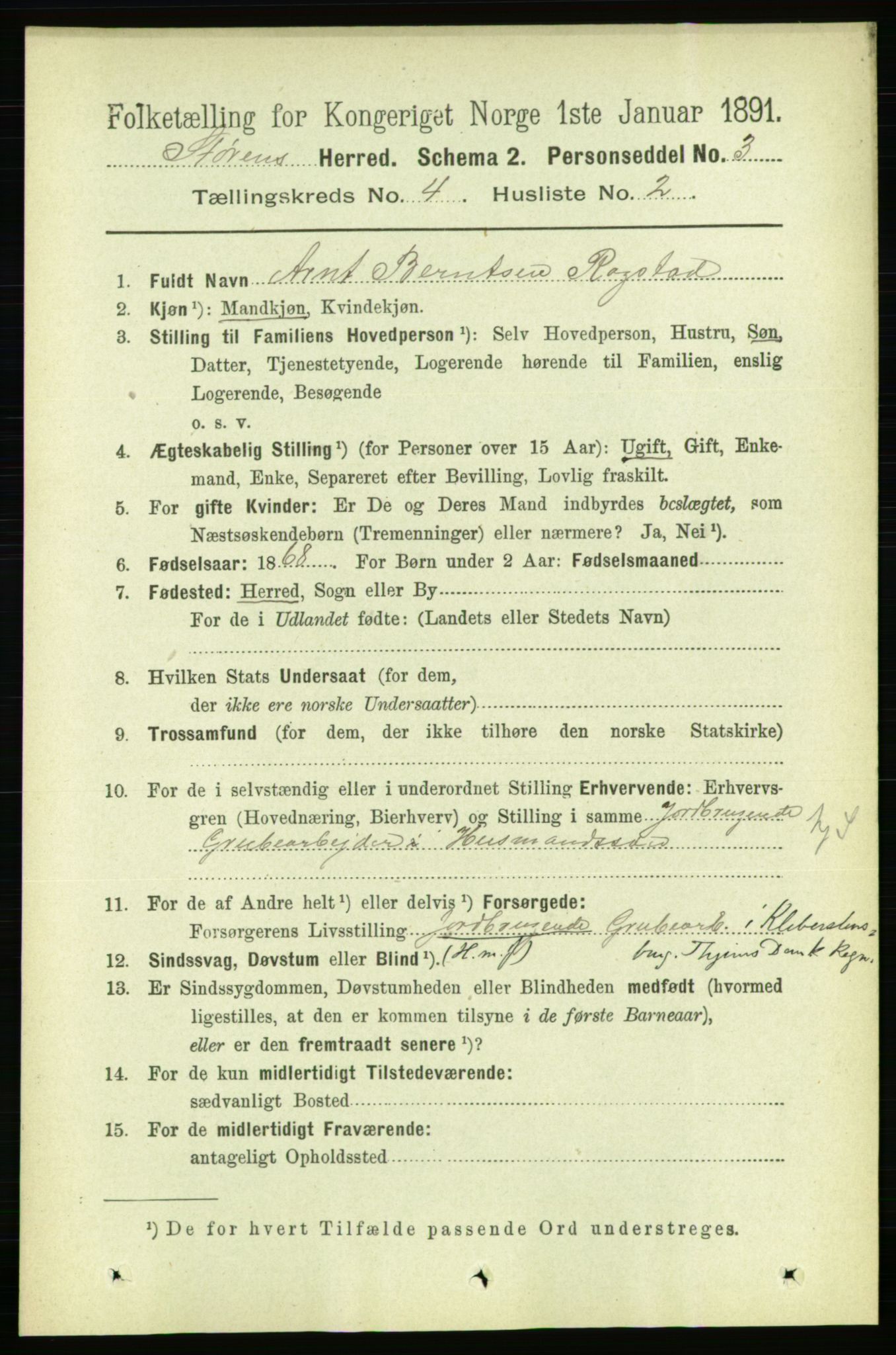 RA, 1891 census for 1648 Støren, 1891, p. 1300