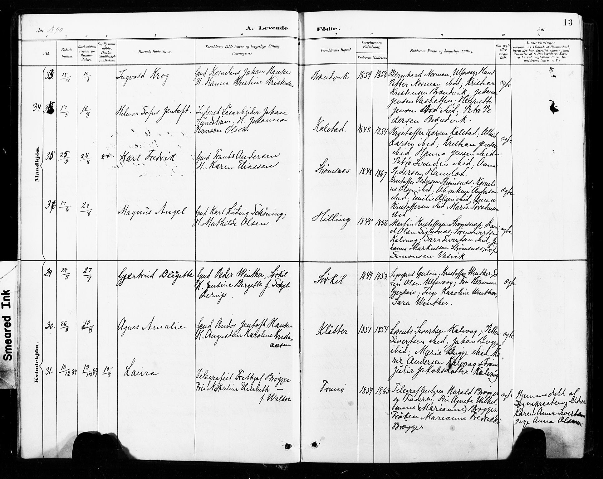 Ministerialprotokoller, klokkerbøker og fødselsregistre - Nordland, SAT/A-1459/859/L0847: Parish register (official) no. 859A07, 1890-1899, p. 13