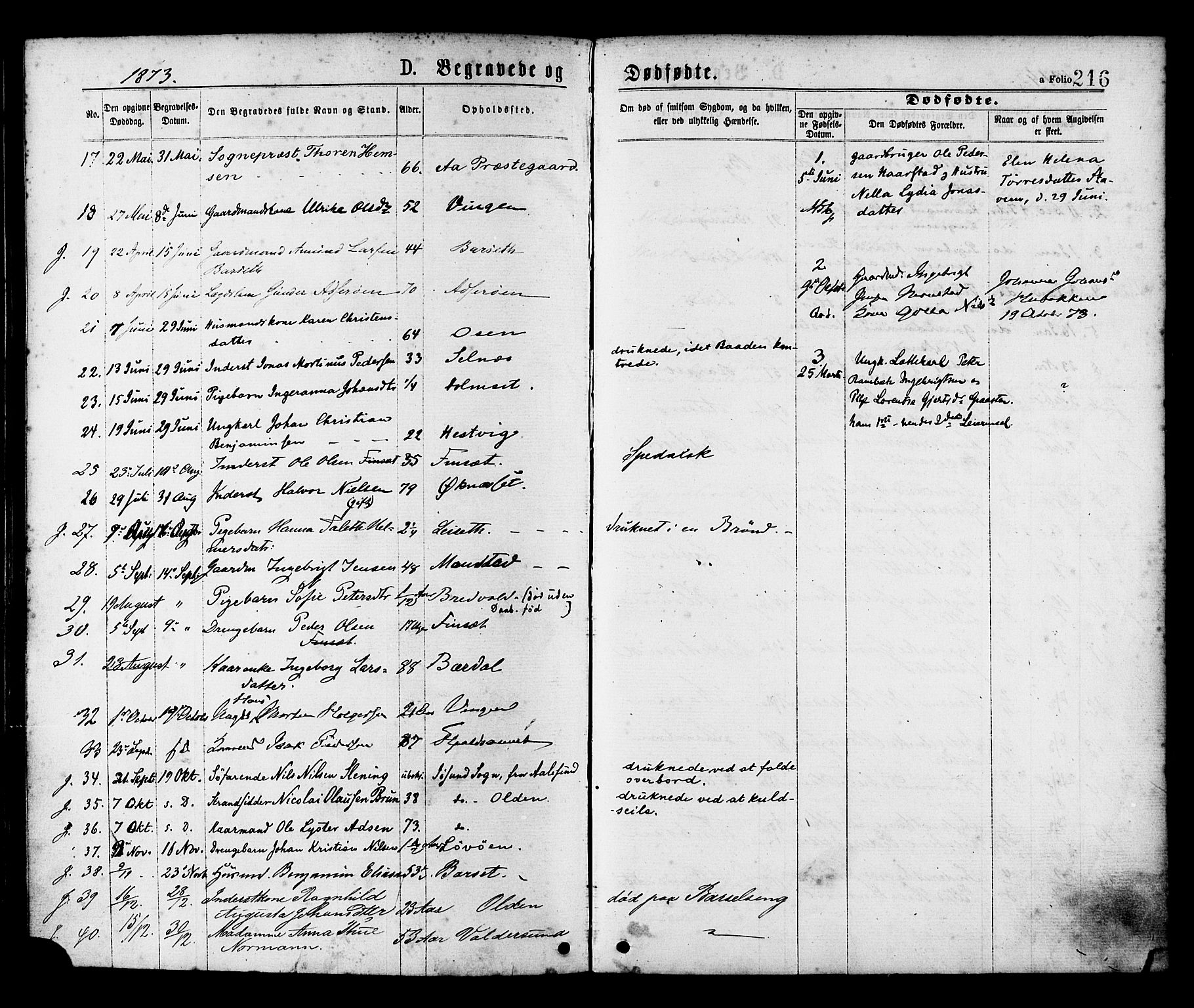 Ministerialprotokoller, klokkerbøker og fødselsregistre - Sør-Trøndelag, SAT/A-1456/655/L0679: Parish register (official) no. 655A08, 1873-1879, p. 216