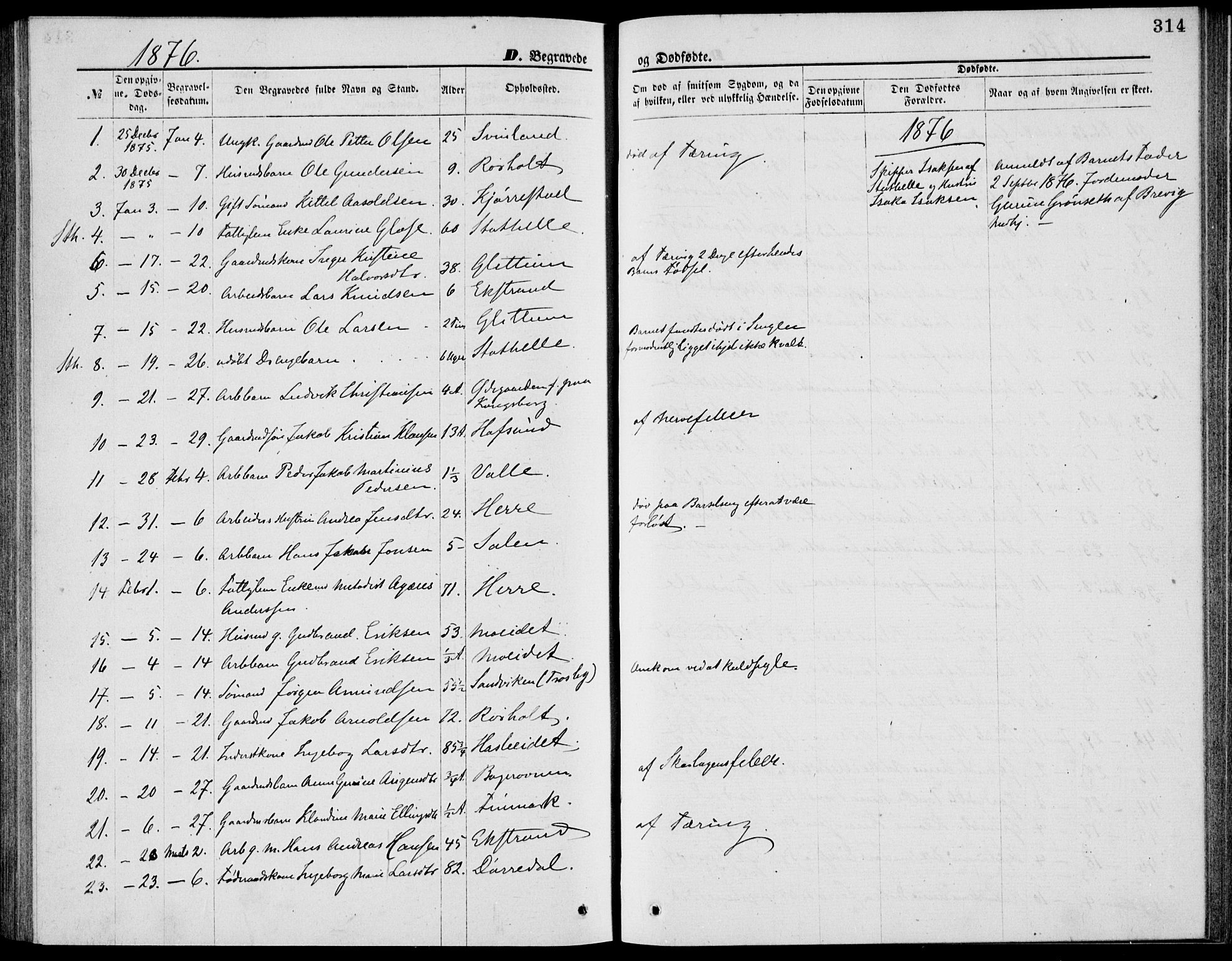 Bamble kirkebøker, AV/SAKO-A-253/G/Ga/L0007: Parish register (copy) no. I 7, 1876-1877, p. 314